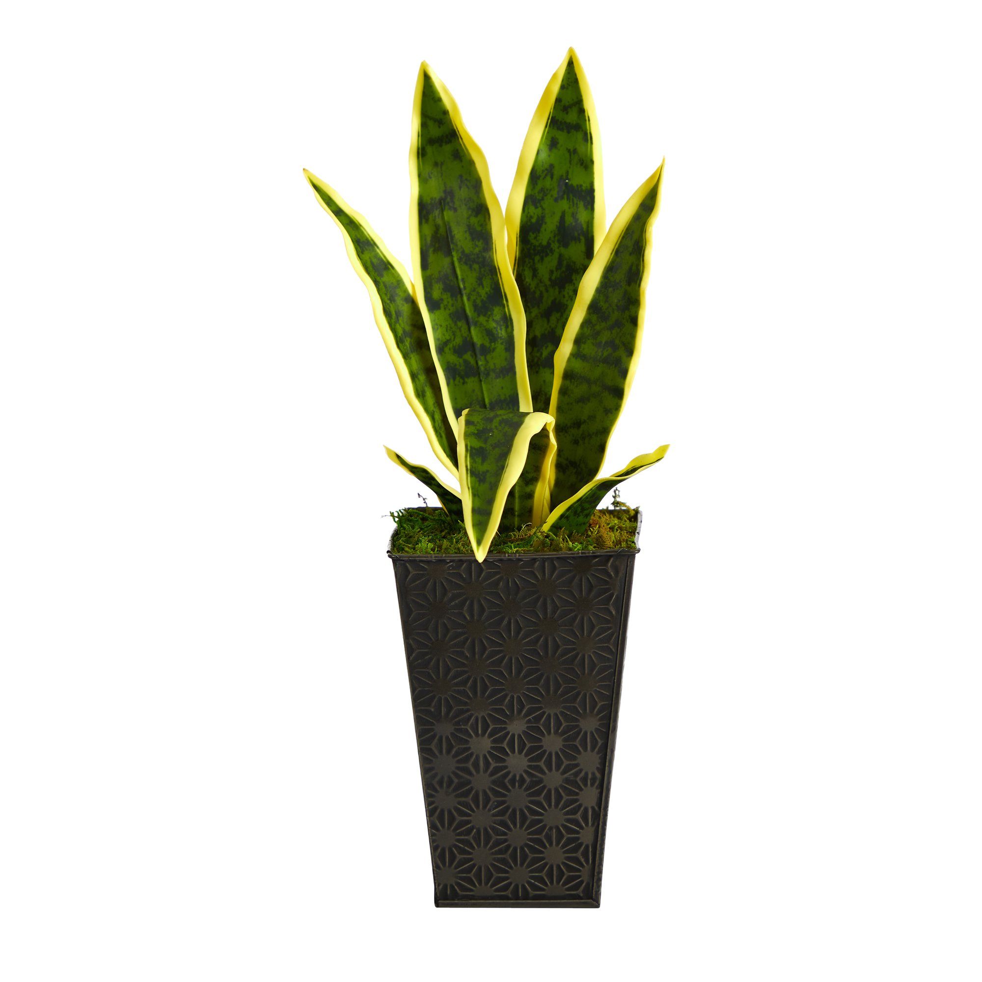 18” Sansevieria Artificial Plant in Embossed Black Planter