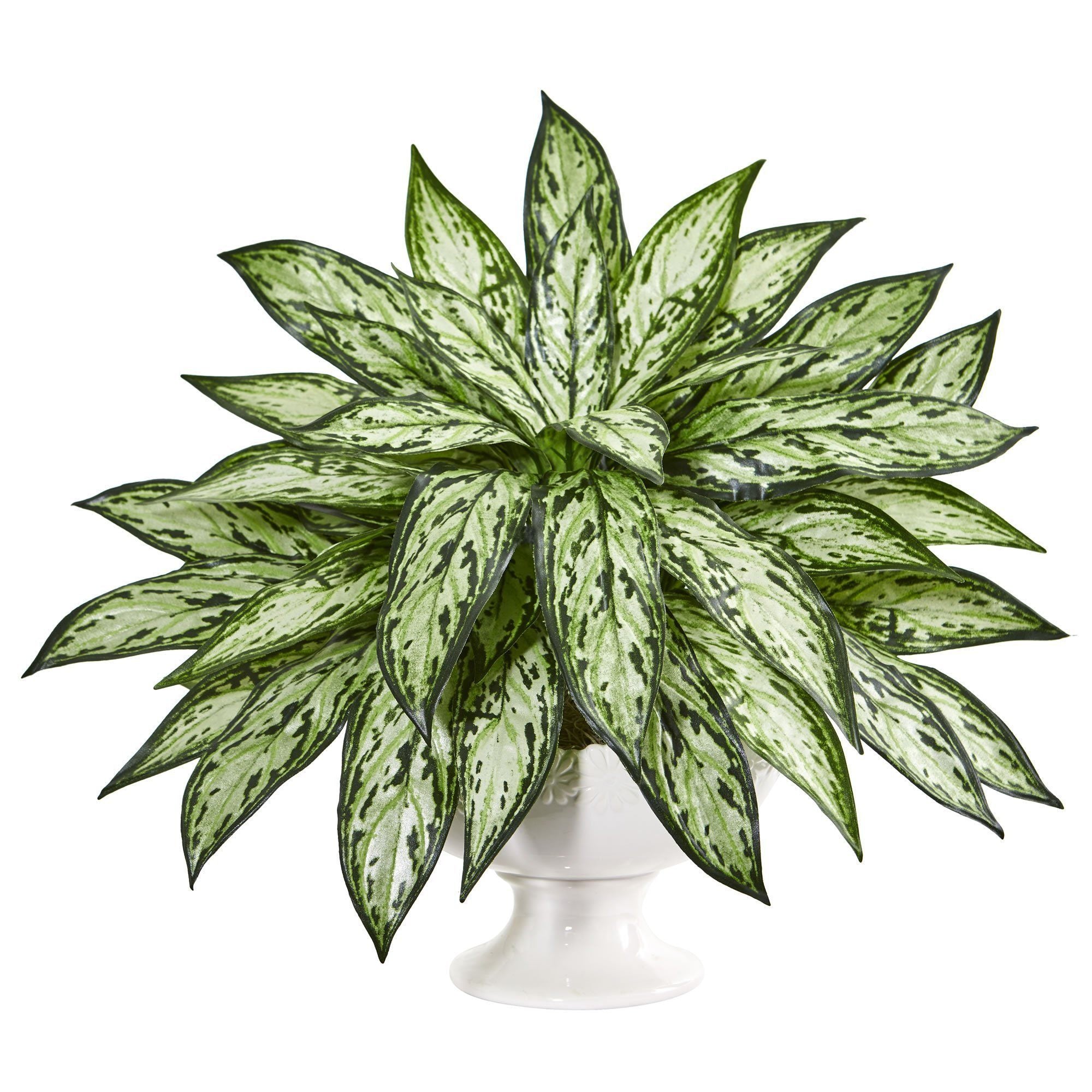 18” Silver Queen Artificial Plant in White Pedestal