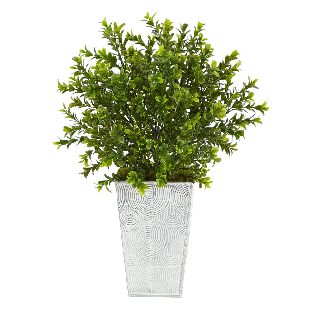 19” Boxwood Artificial Plant in Embossed White Planter (Indoor/Outdoor)