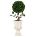 19” Boxwood Topiary Artificial Tree in White Urn UV Resistant (Indoor/Outdoor)