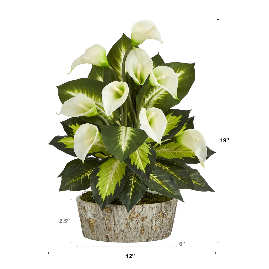 19” Calla Lily and Golden Dieffenbachia Artificial Plant in Weathered Oak Planter