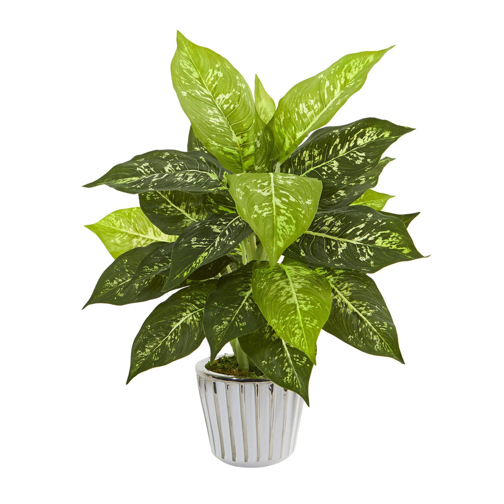 19” Dieffenbachia Artificial Plant in White Vase (Set of 2)