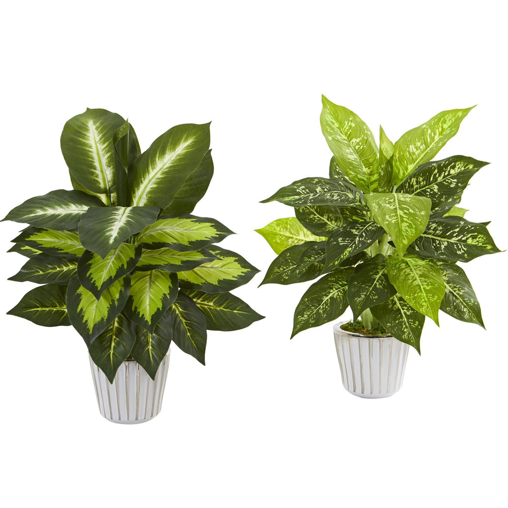19” Dieffenbachia Artificial Plant in White Vase (Set of 2)