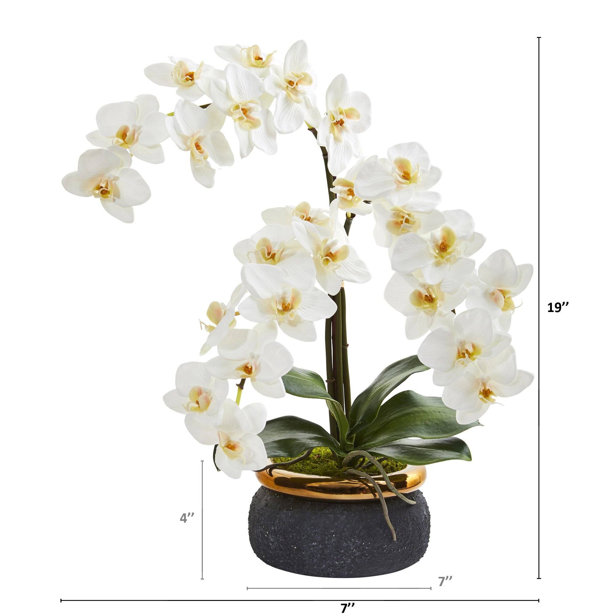 19” Triple Phalaenopsis Orchid Artificial Arrangement in Black Vase with Bronze Rim