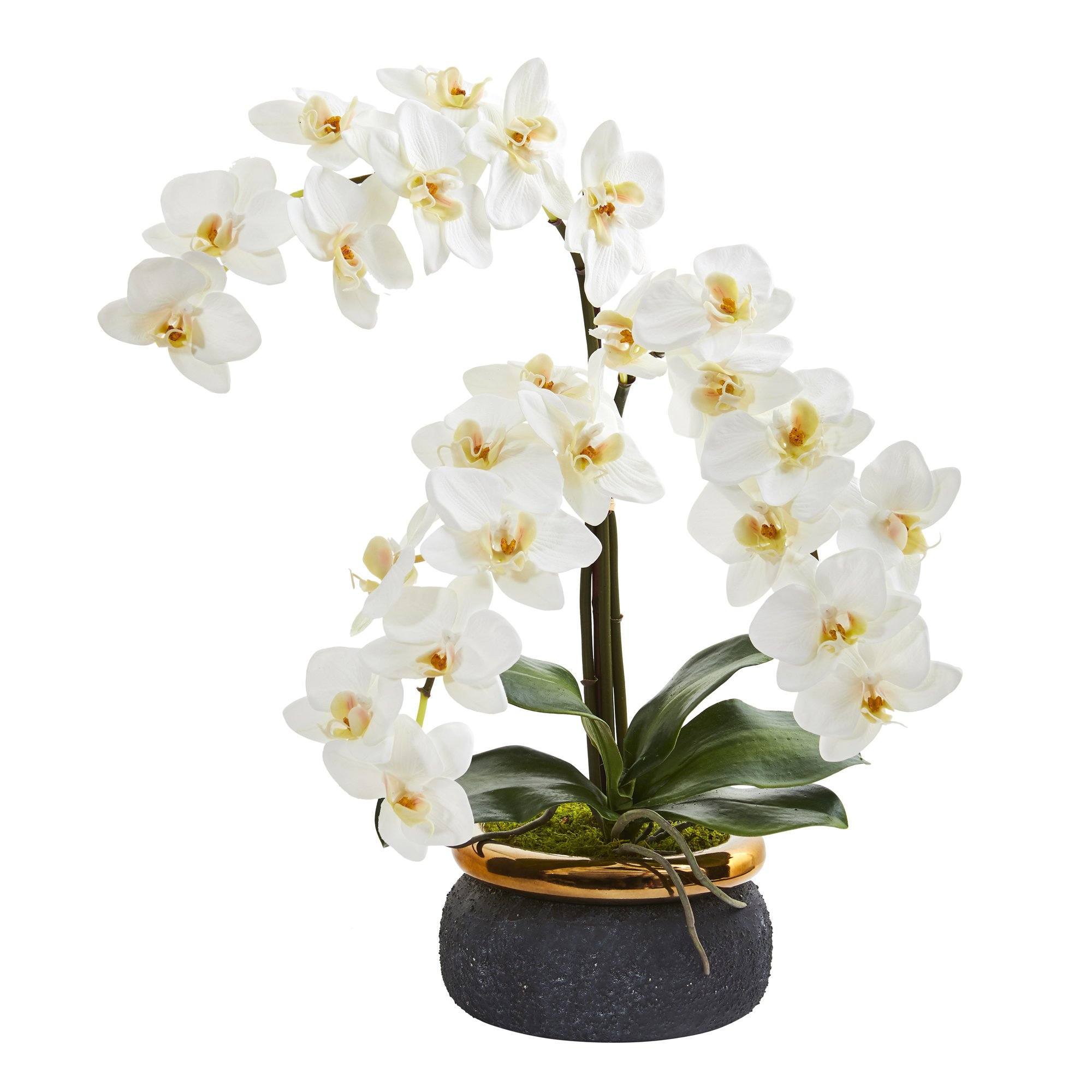 19” Triple Phalaenopsis Orchid Artificial Arrangement in Black Vase with Bronze Rim