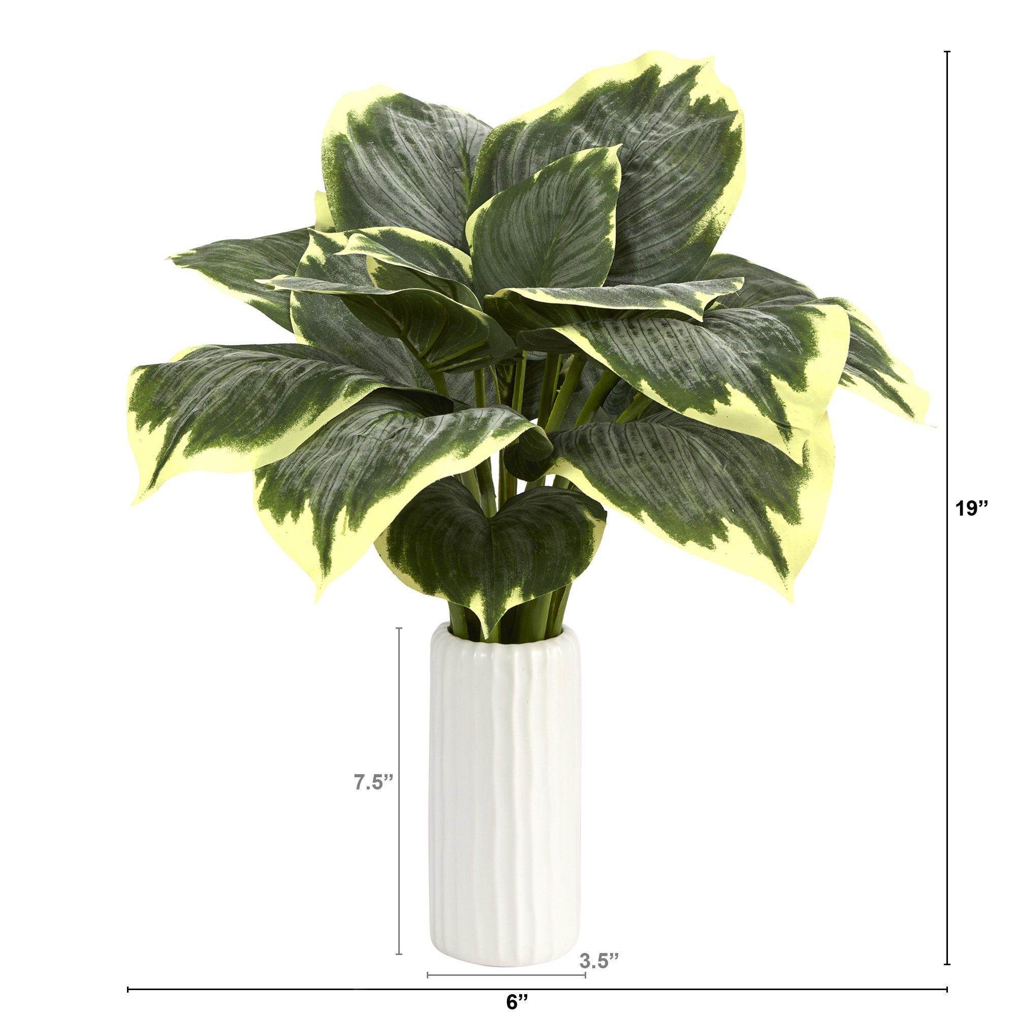19” Variegated Hosta Artificial Plant in White Planter