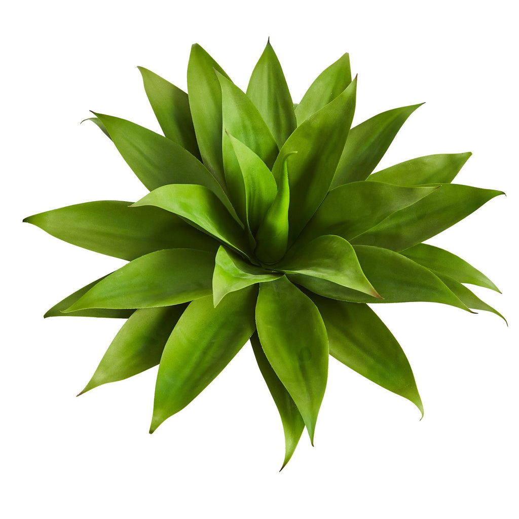 2’ Agave Succulent Artificial Plant in White Planter