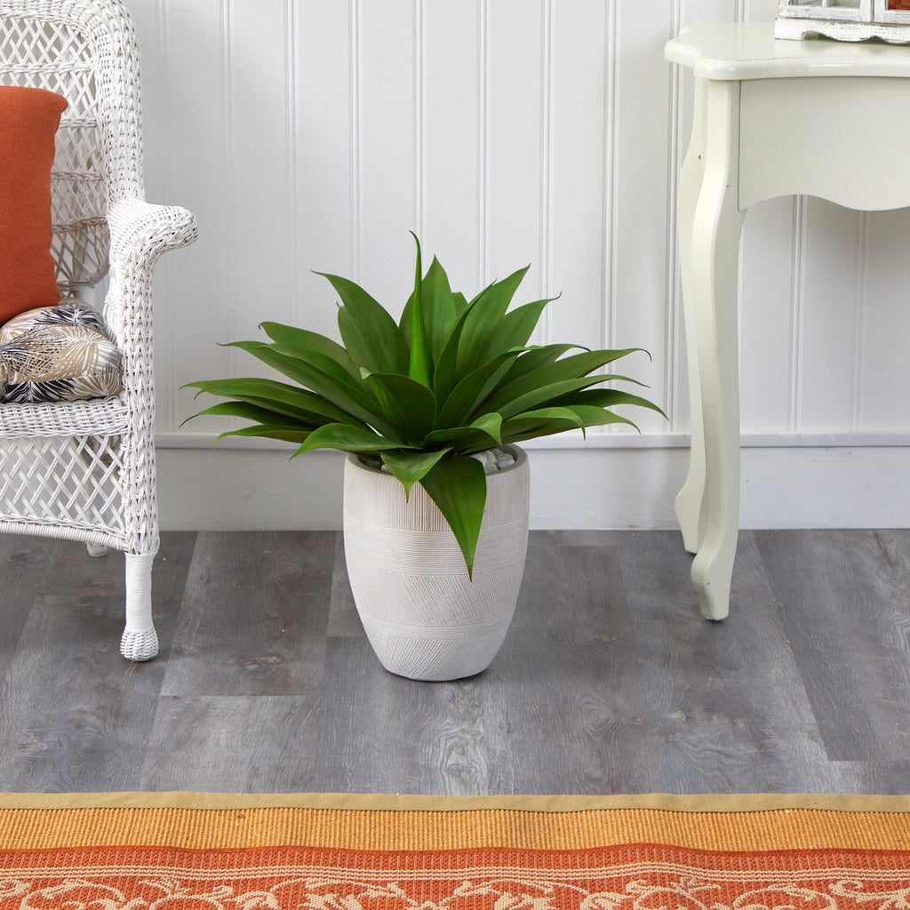 2’ Agave Succulent Artificial Plant in White Planter