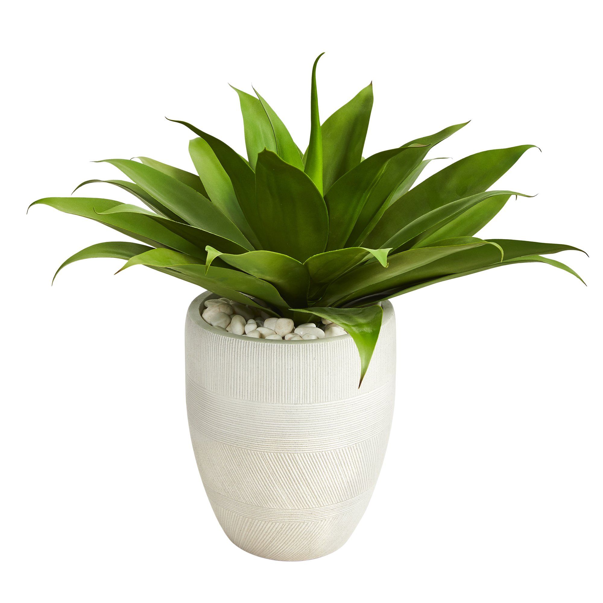 2’ Agave Succulent Artificial Plant in White Planter