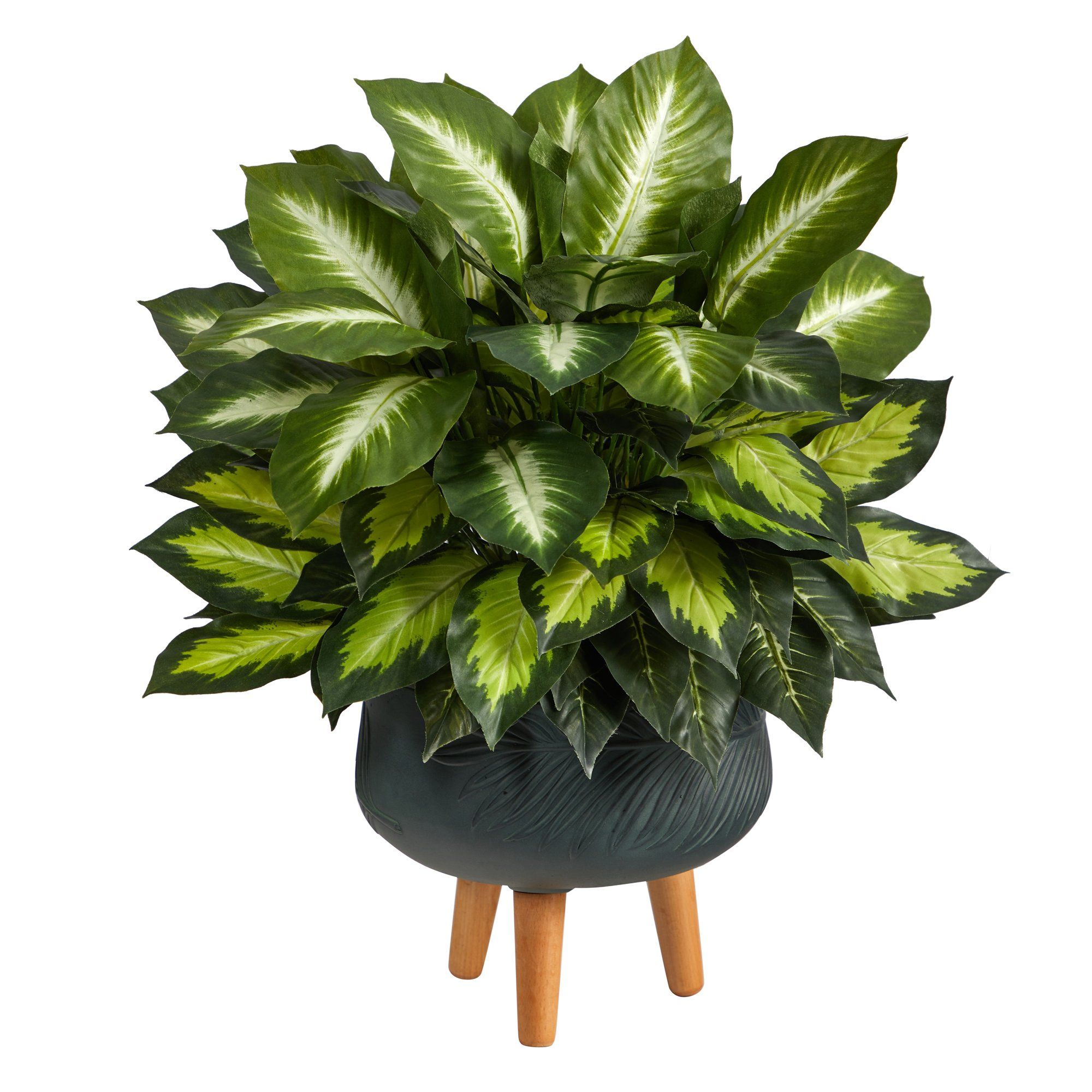 2’ Golden Dieffenbachia Artificial Plant in Black Planter with Stand