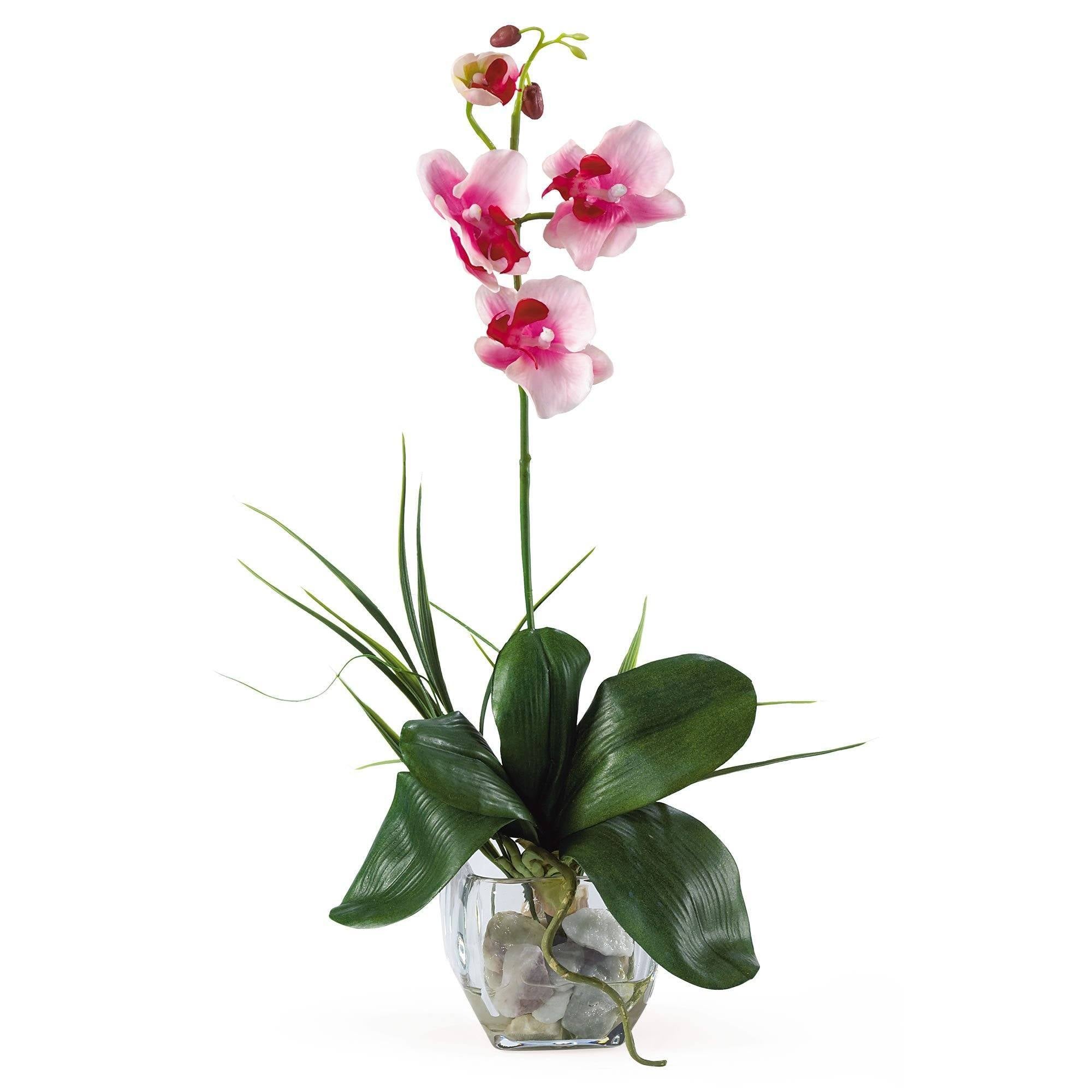 20" Artificial Mini Phalaenopsis Liquid Illusion Silk Orchid Arrangement"