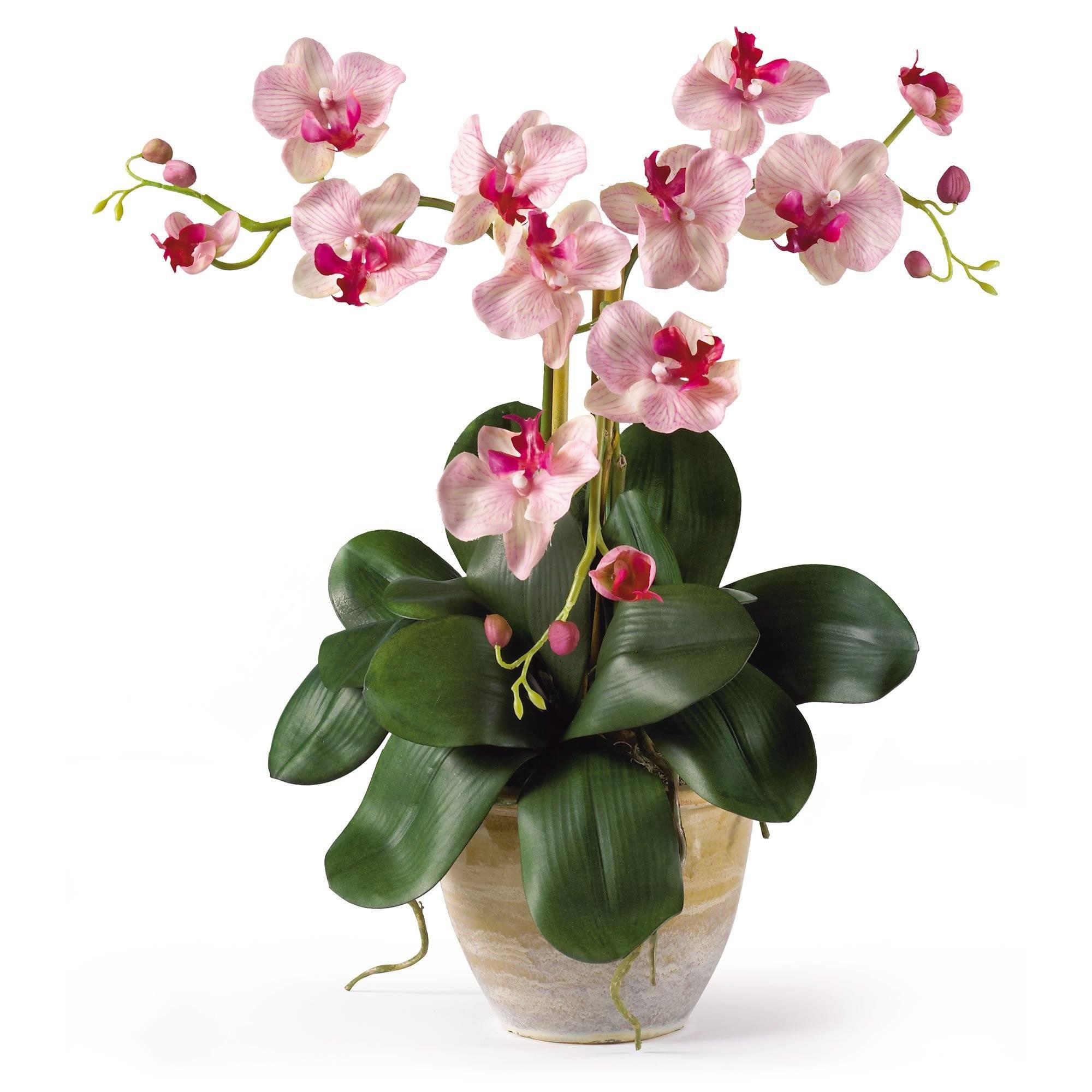 20" Artificial Mini Phalenopsis Moth Silk Orchid Arrangement"