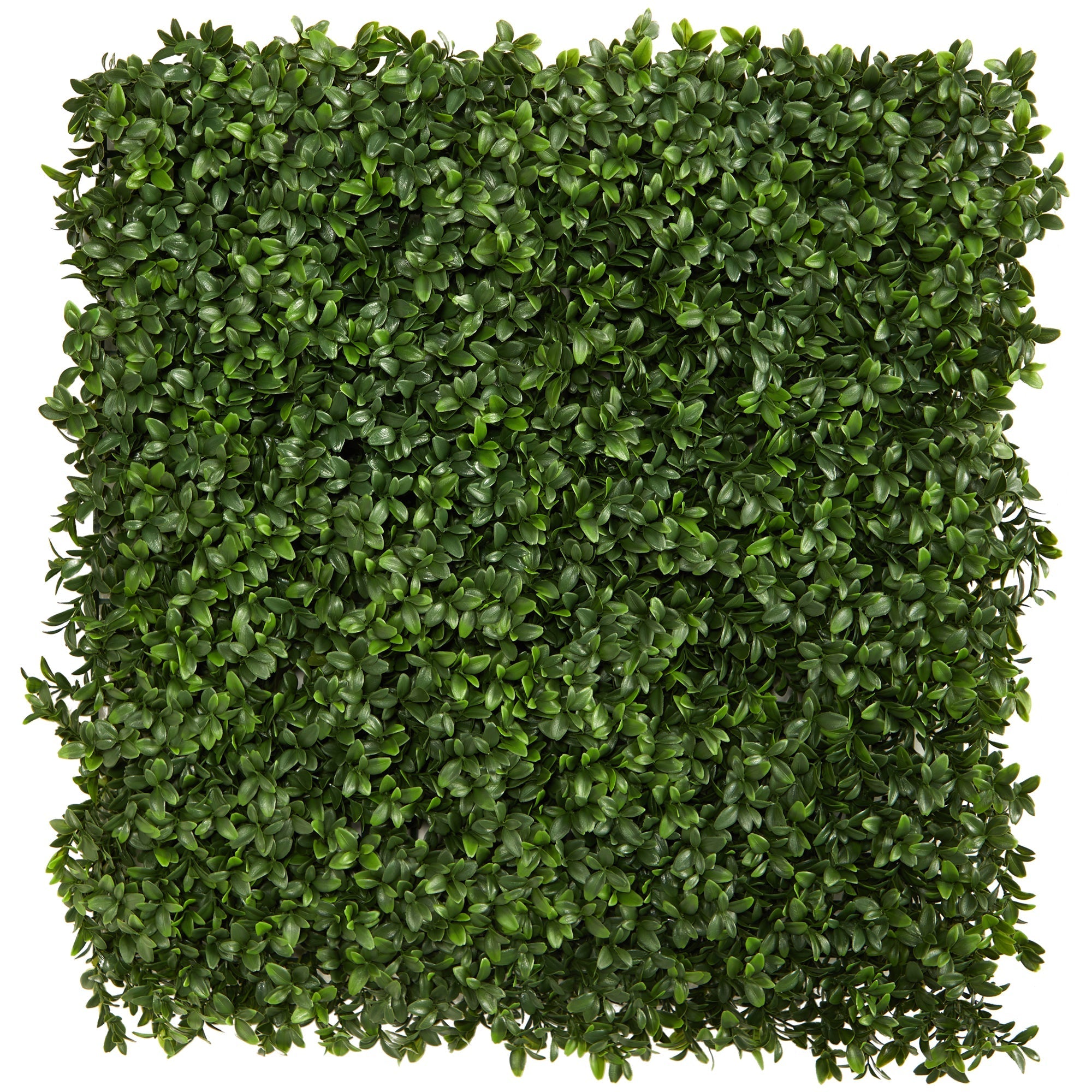 20” Boxwood Artificial Wall Mat (Indoor/Outdoor) (Set of 2)