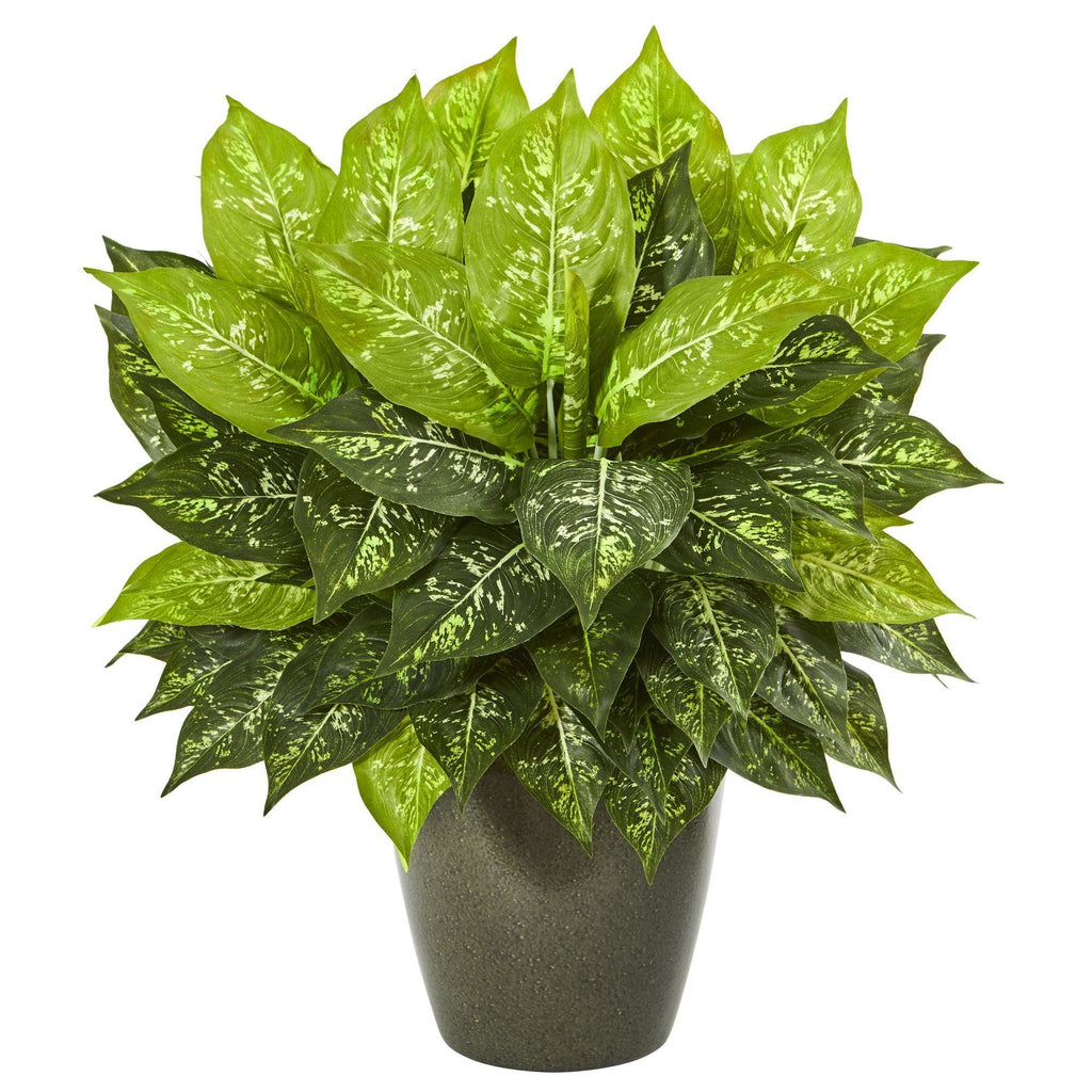 20” Dieffenbachia Artificial Plant in Green Planter