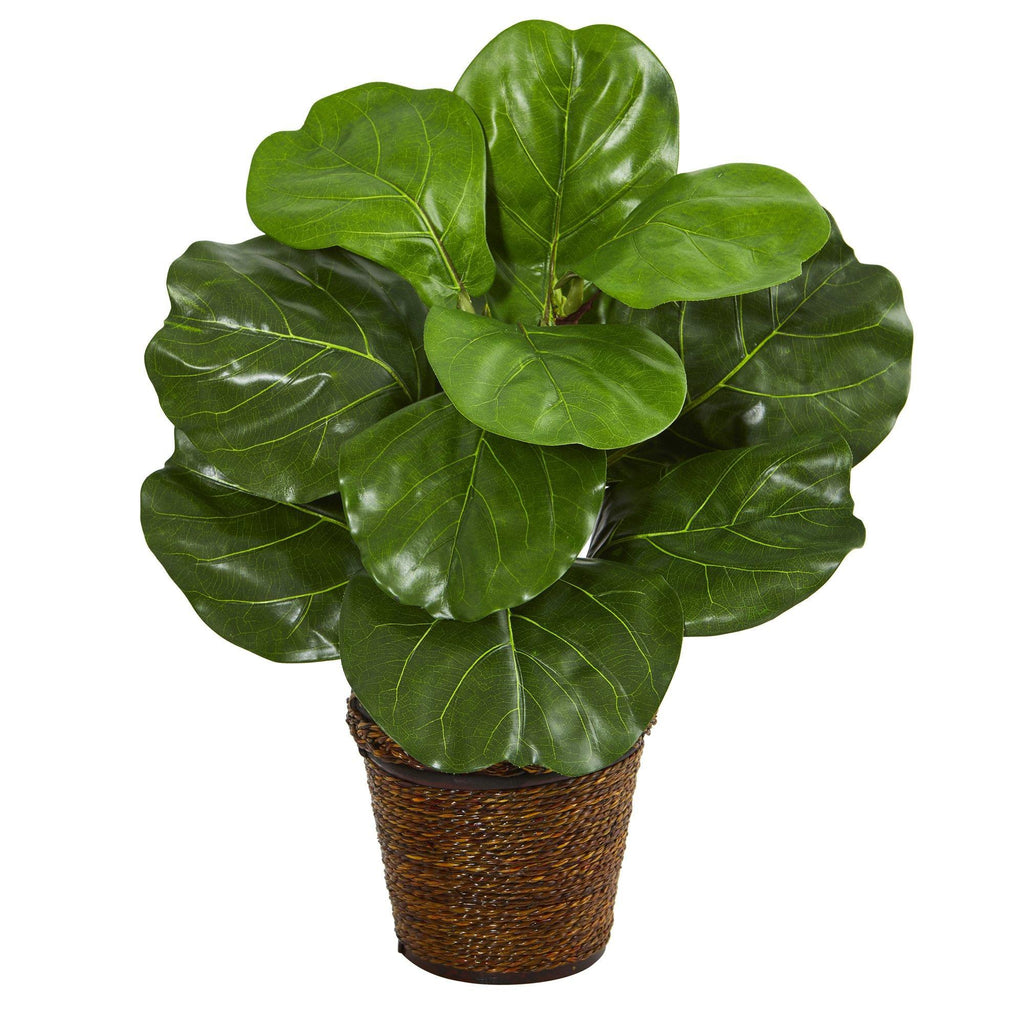 20” Fiddle Leaf Artificial Plant in Basket