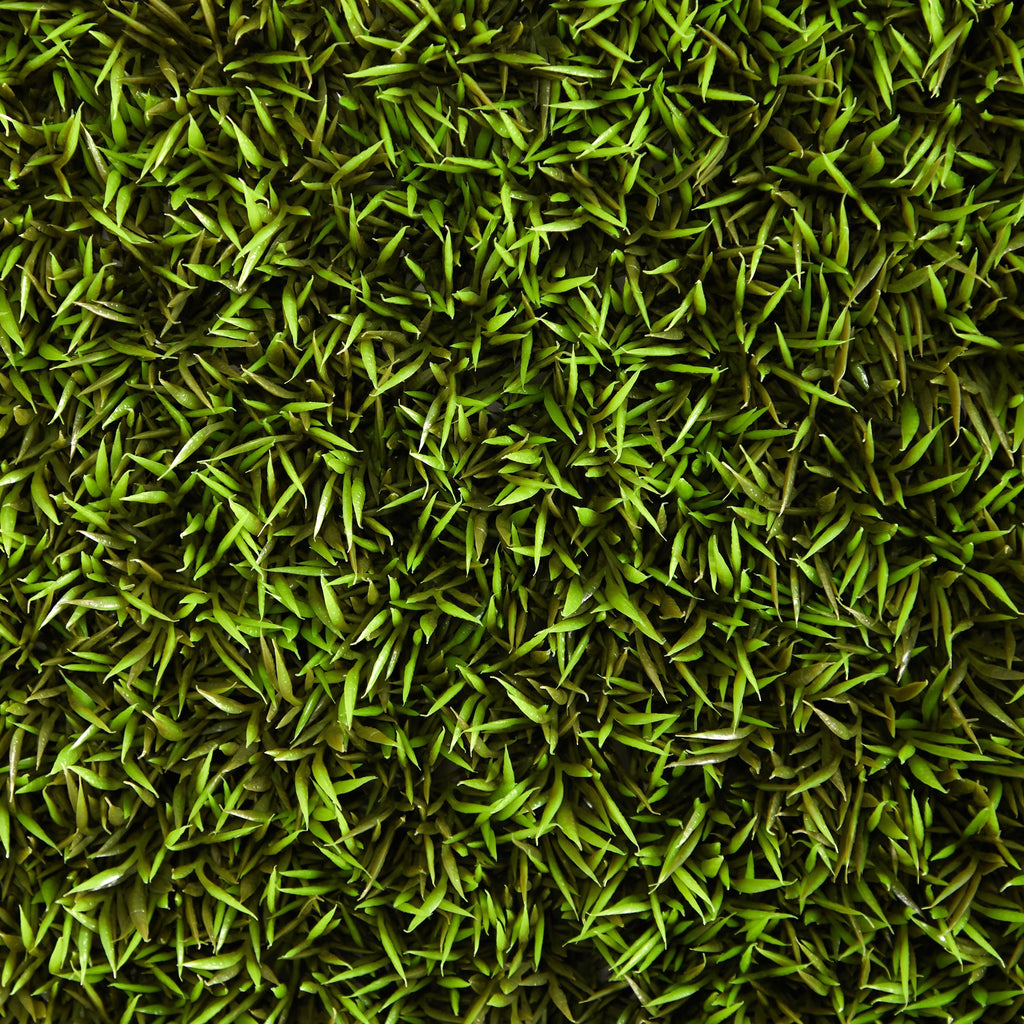 20” Mini Pordocarpus Artificial Wall Mat (Indoor/Outdoor) (Set of 2)