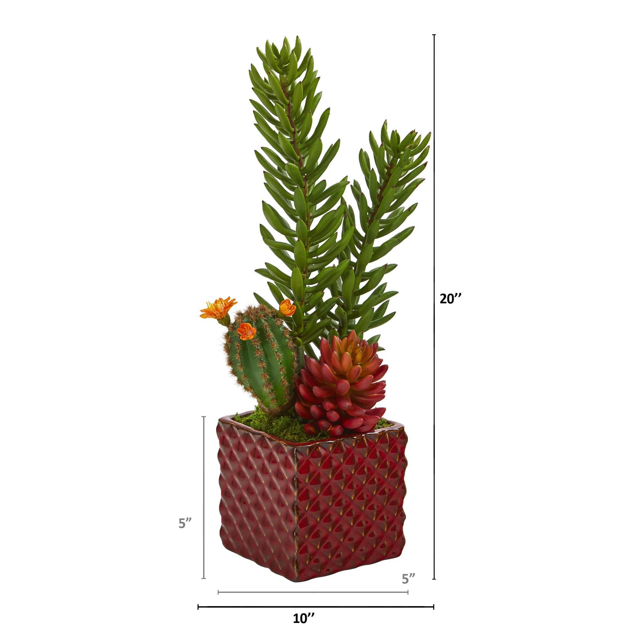 20” Mixed Succulent Artificial Plant in Red Ceramic Vase