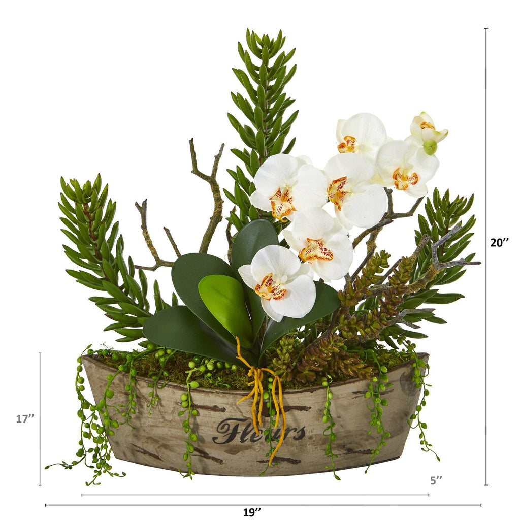 20” Orchid Phalaenopsis and Mix Succulent Artificial Arrangement