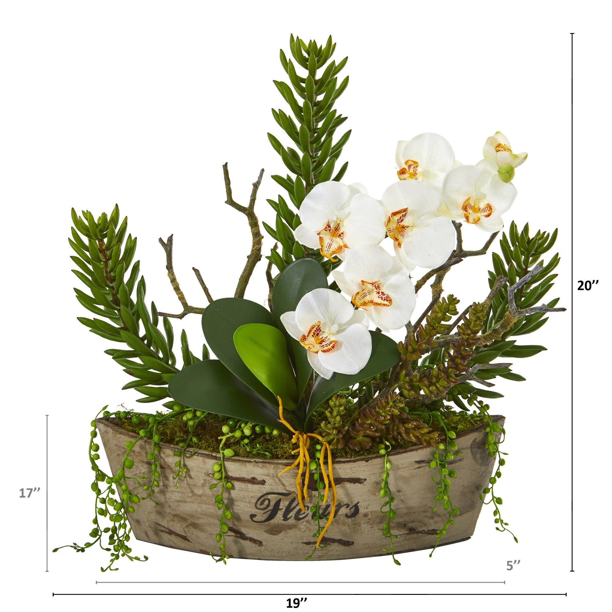 20” Orchid Phalaenopsis and Mix Succulent Artificial Arrangement