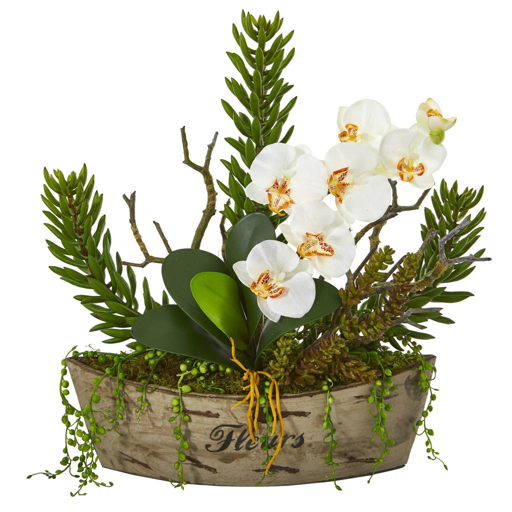 20” Orchid Phalaenopsis and Mix Succulent Artificial Arrangement