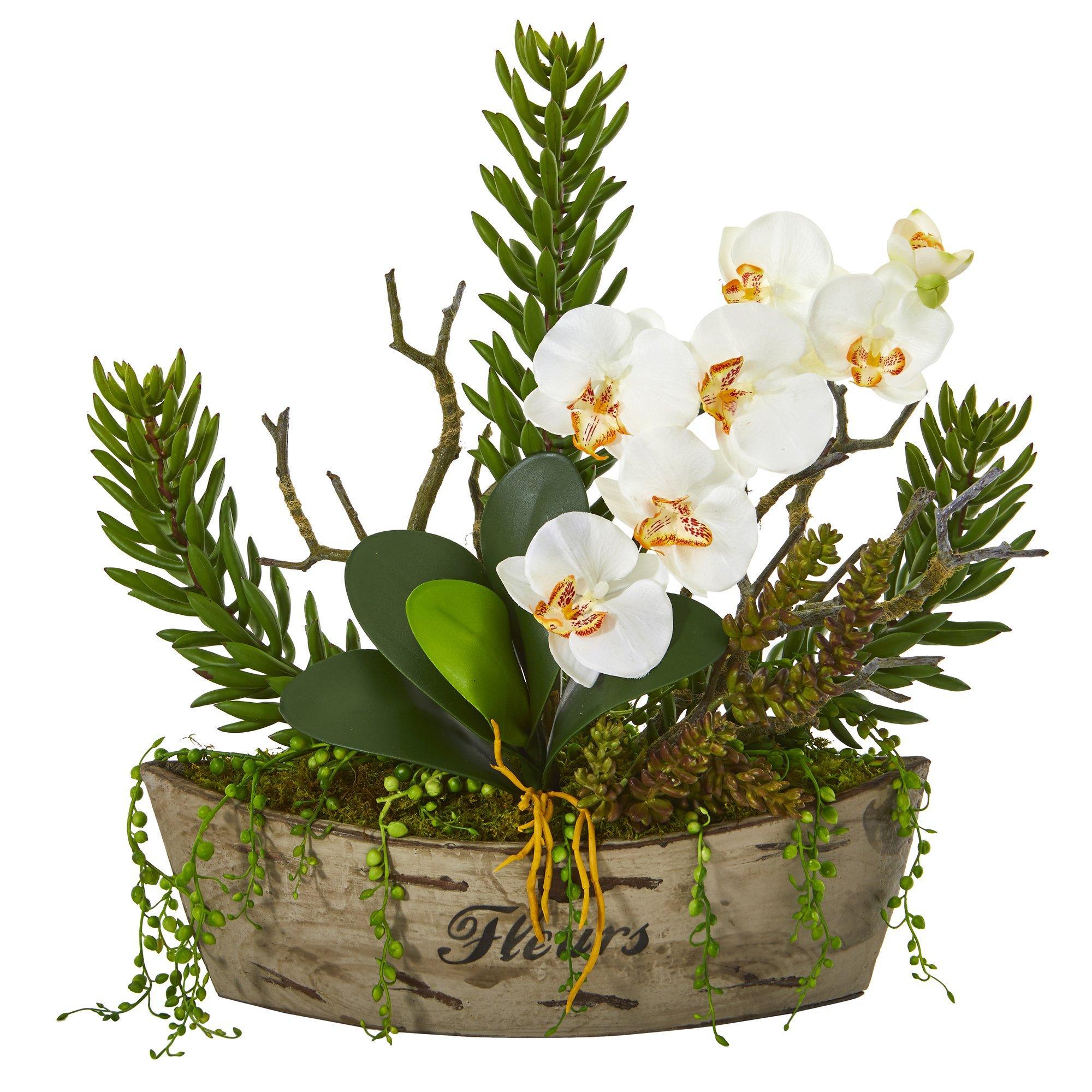 20” Orchid Phalaenopsis and Mix Succulent Artificial Arrangement