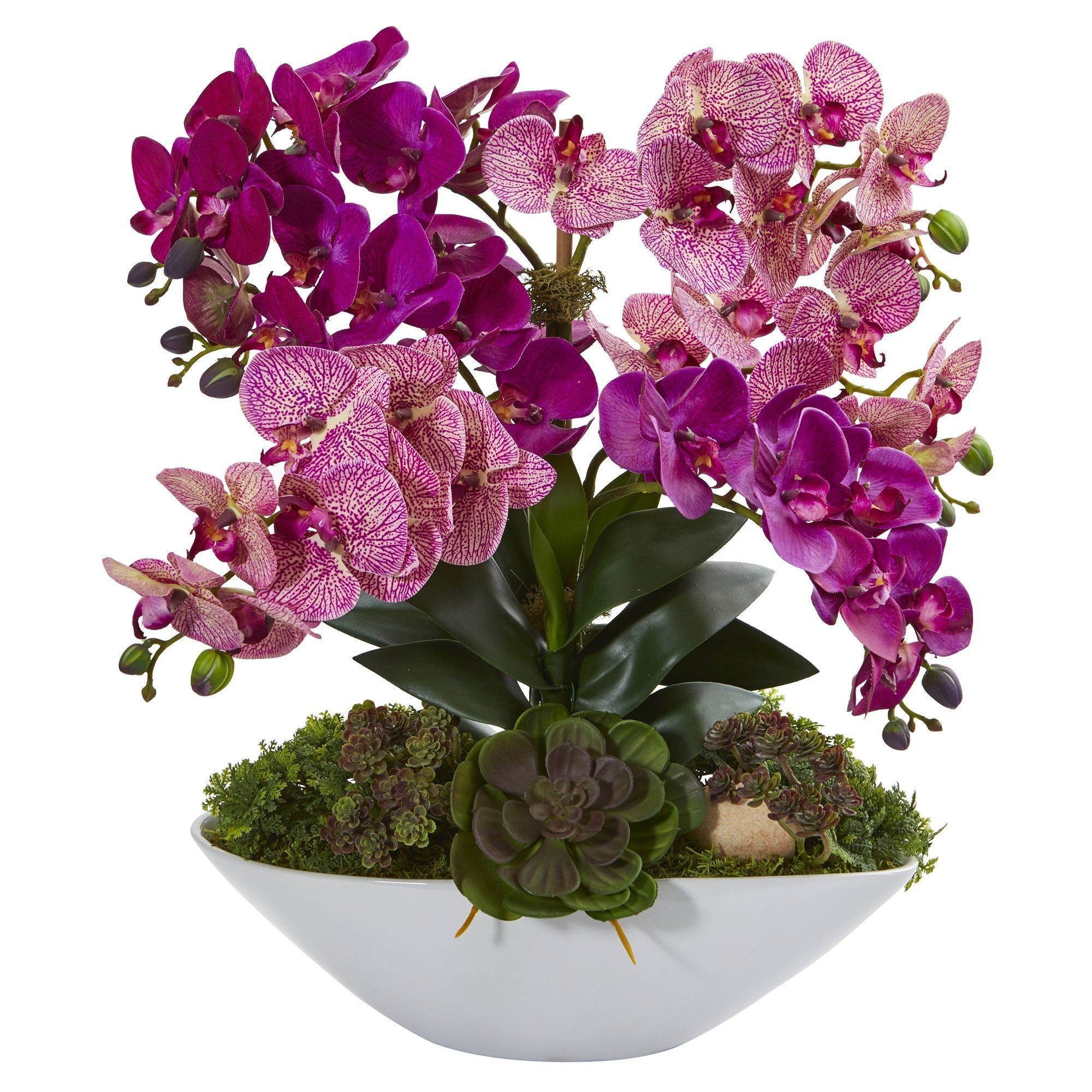 20” Phalaenopsis Orchid and Succulent Artificial Arrangement in White Vase