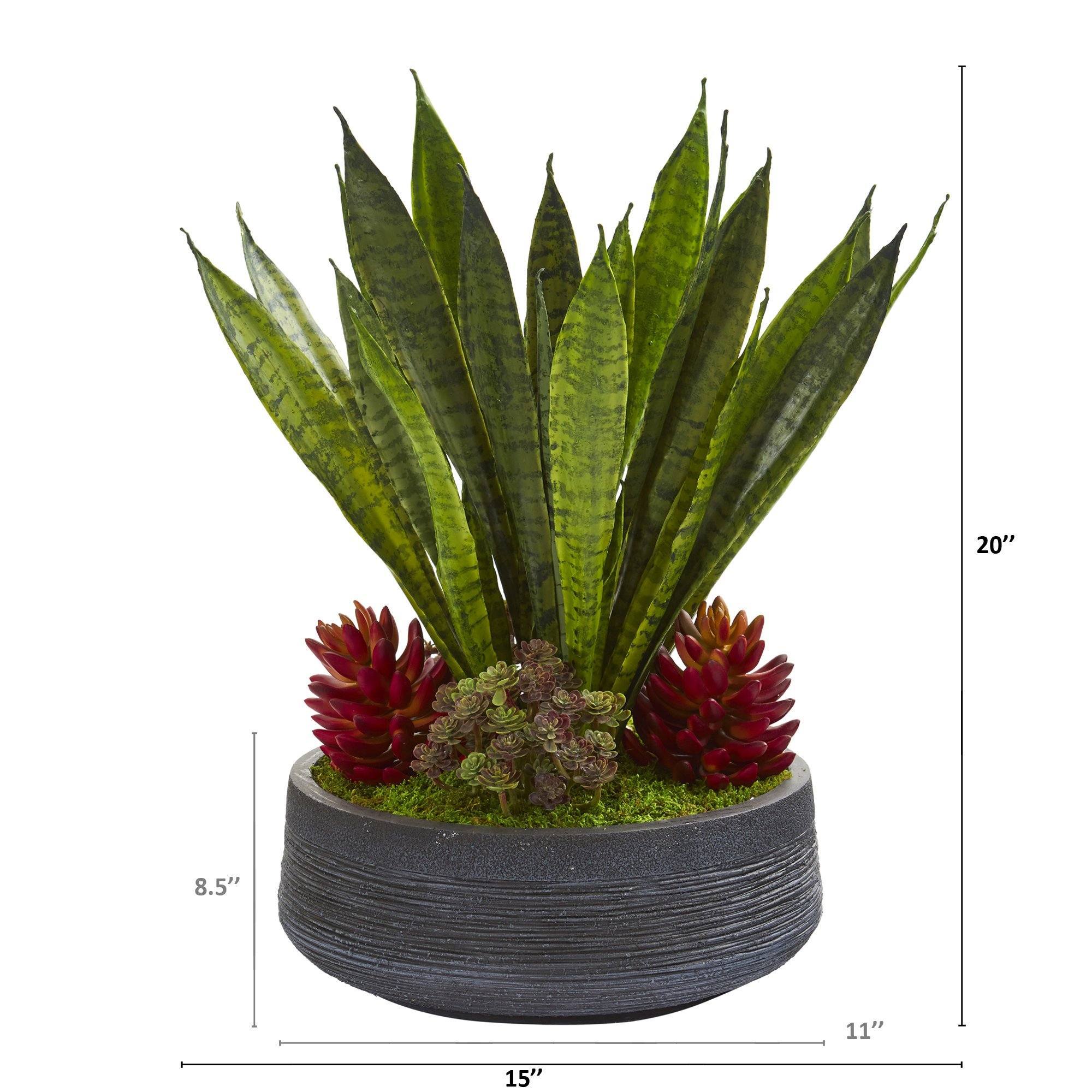 20” Succulent and Sansevieria Artificial Plant in Decorative Bowl