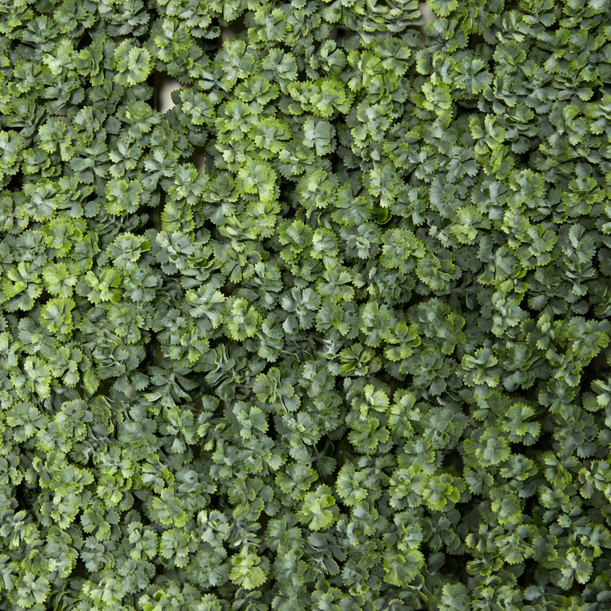 20” Succulent Artificial Wall Mat (Indoor/Outdoor) (Set of 2)