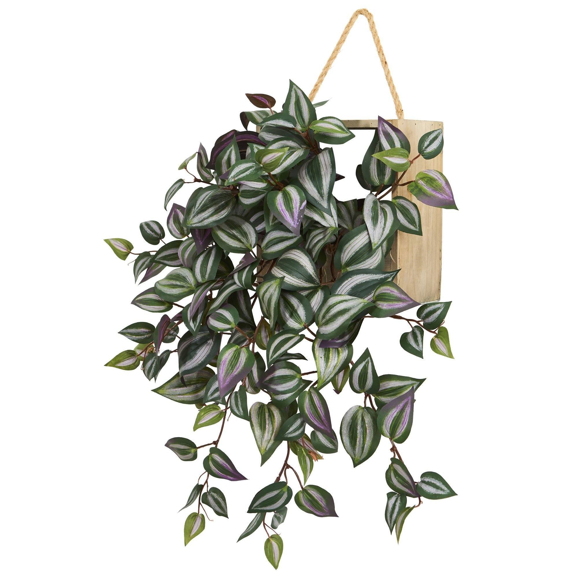 20” Wandering Jew Artificial Plant in Decorative Hanging Frame