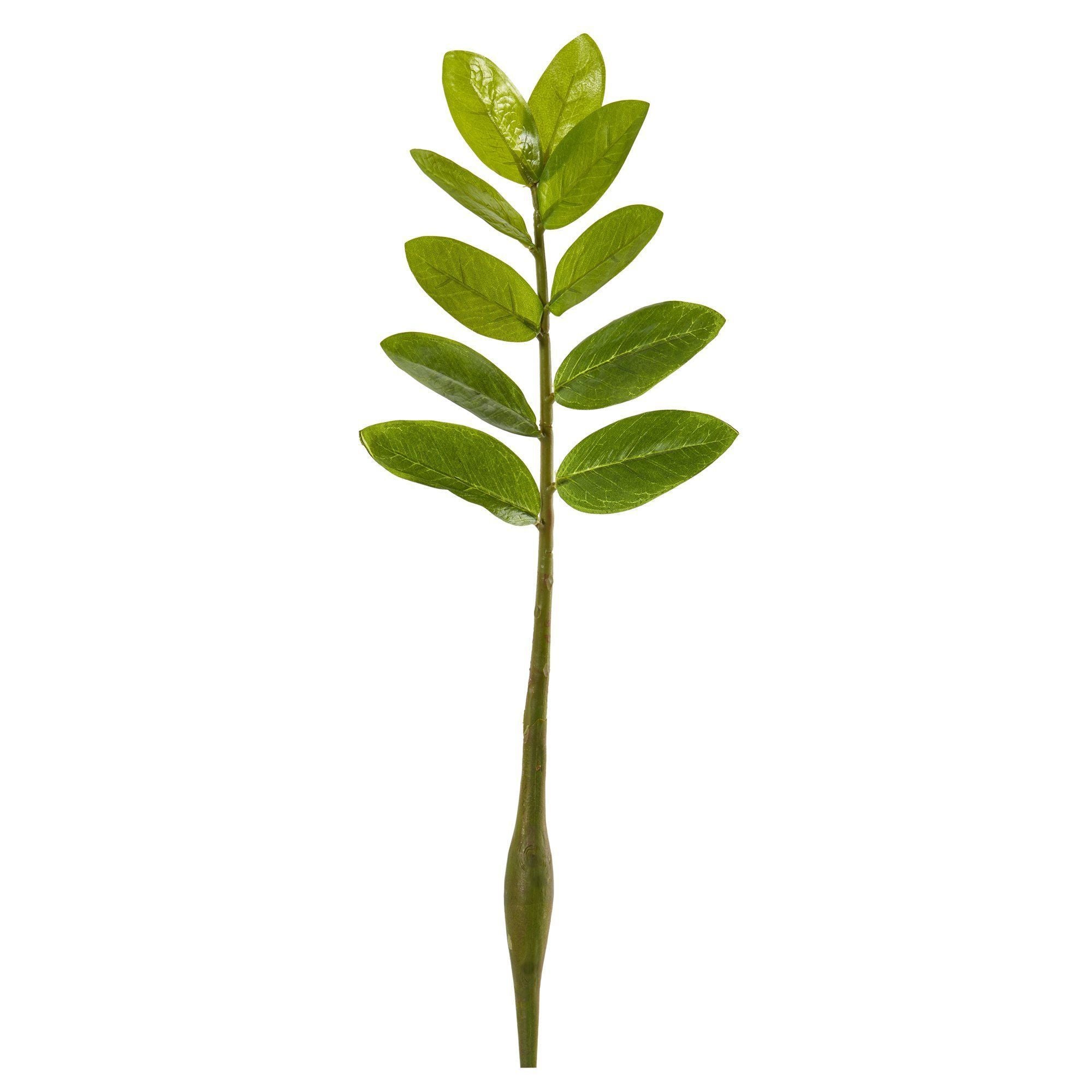 20” Zamioculcas Artificial Flower Stem (Set of 12)