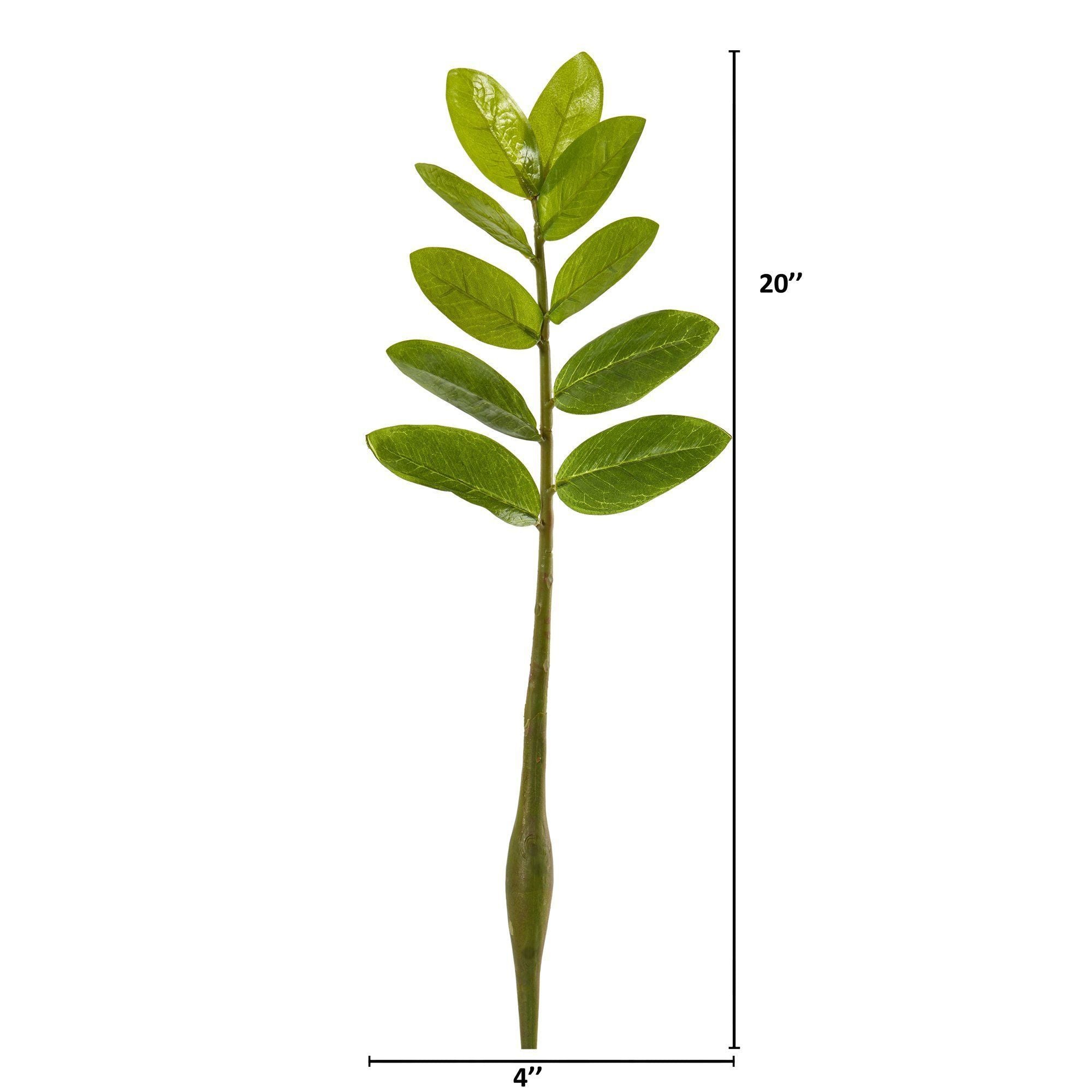 20” Zamioculcas Artificial Flower Stem (Set of 12)