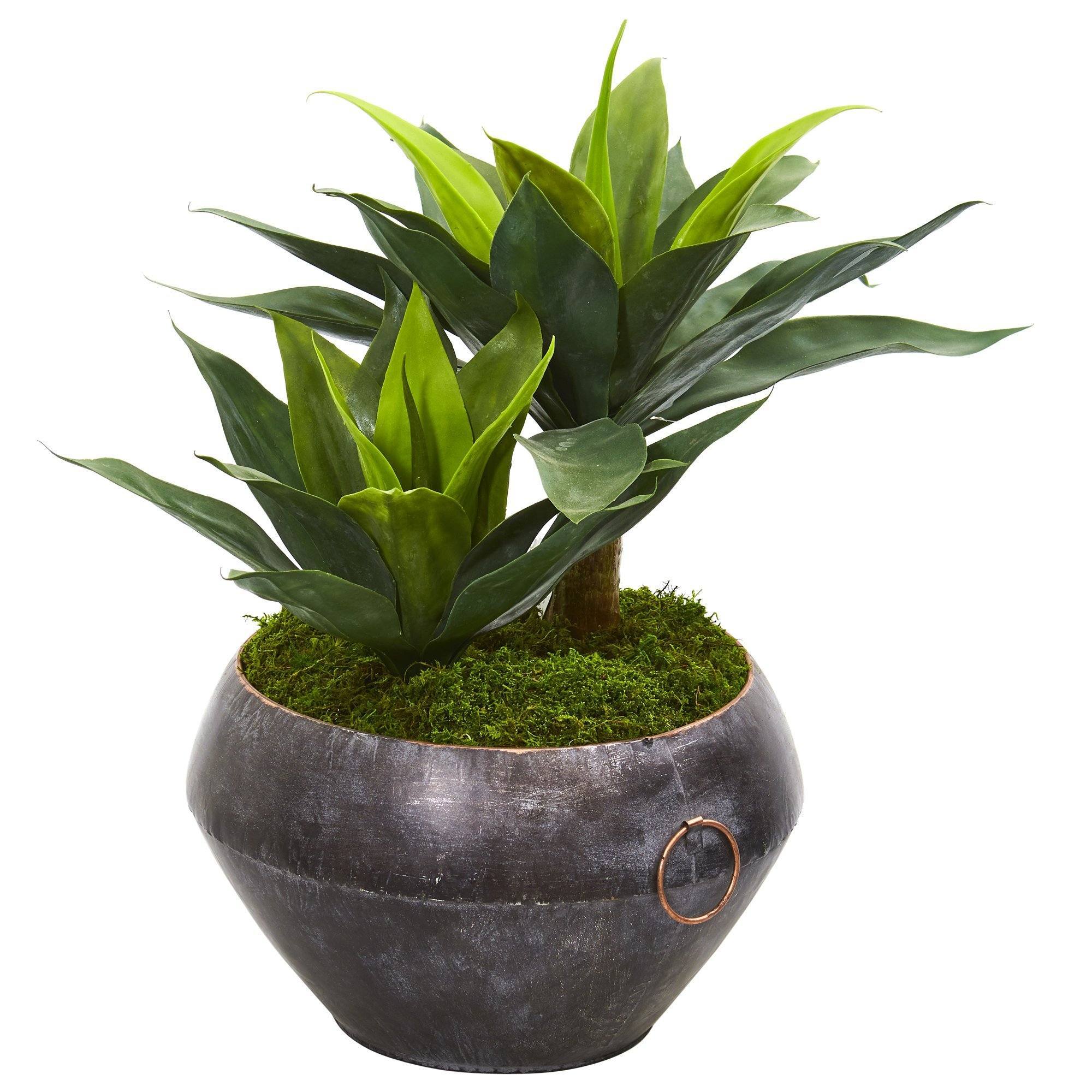 21” Agave Artificial Plant in Metal Bowl