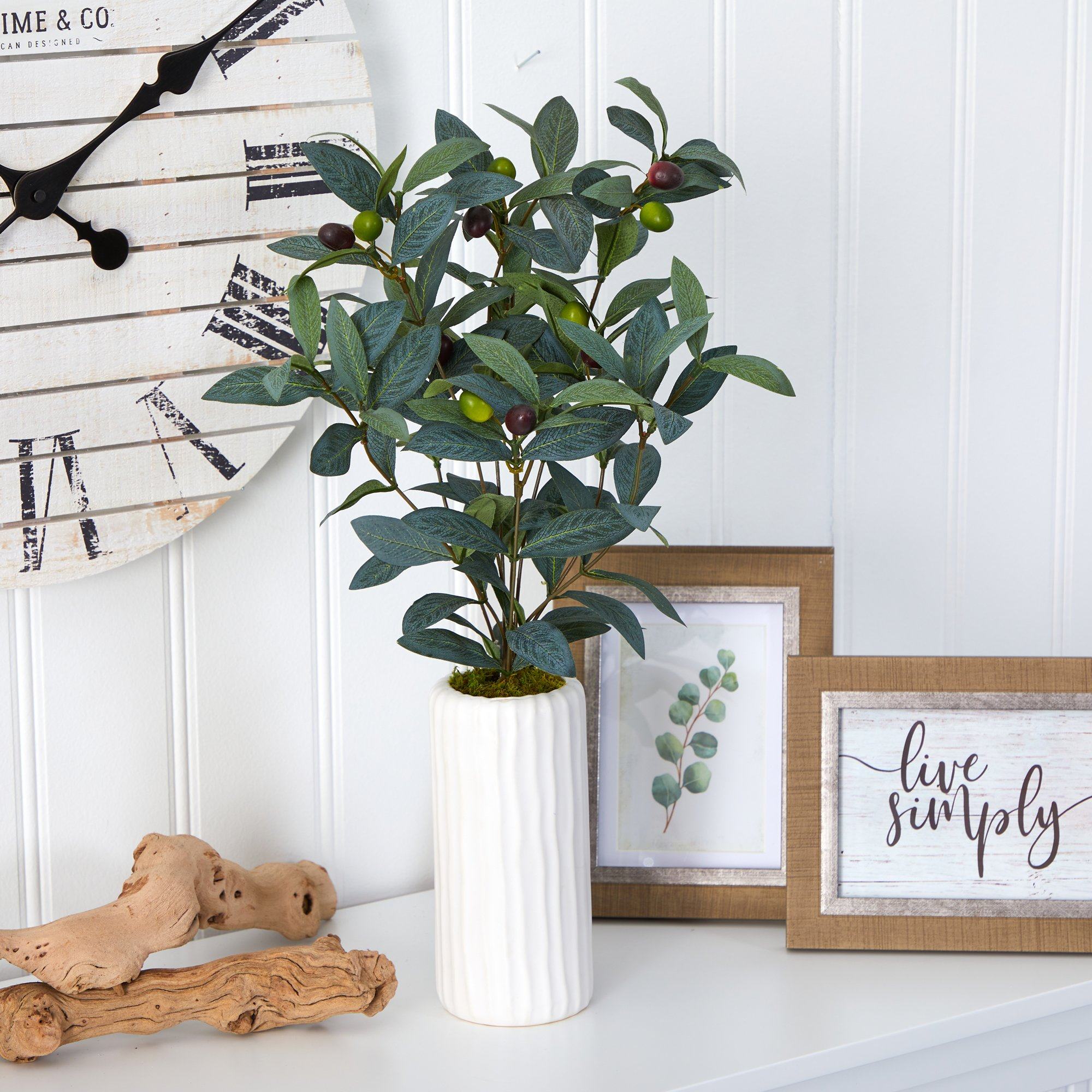 21” Olive Artificial Plant in White Planter