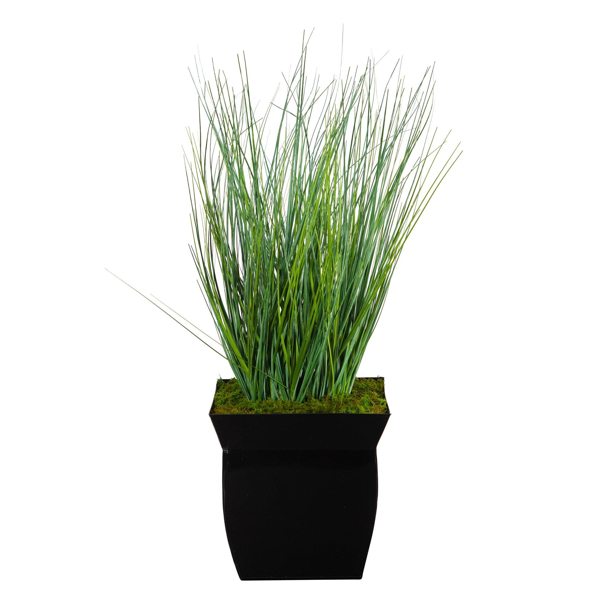 21” Onion Grass Artificial Plant in Black Metal Planter