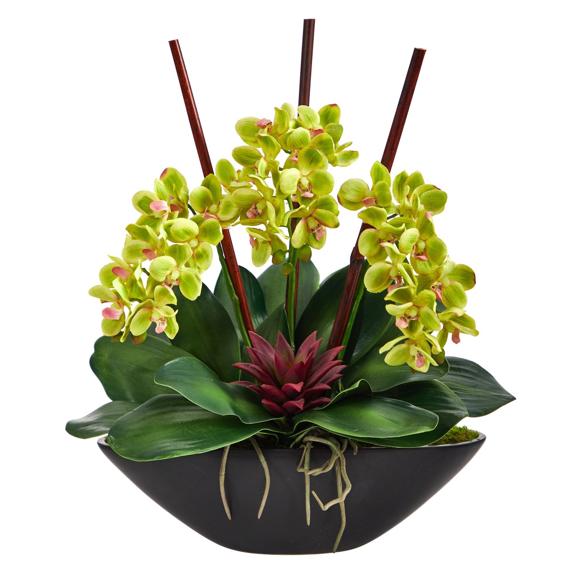 21” Phalaenopsis Orchid and Succulent Artificial Arrangement in Black Vase