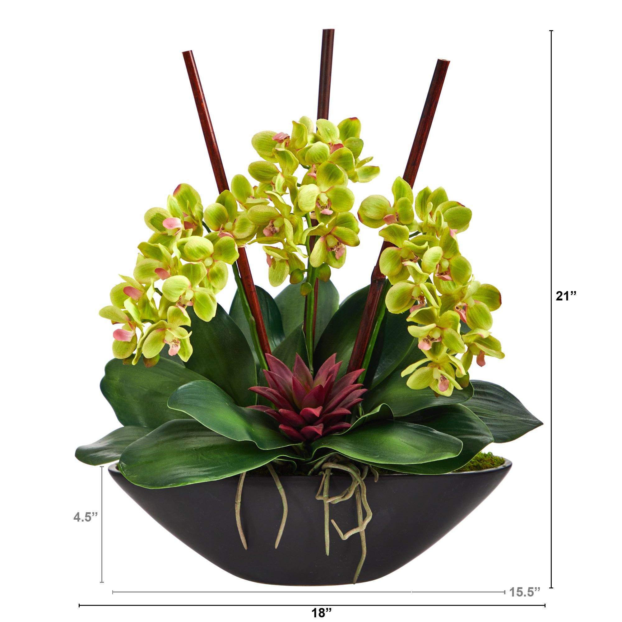 21” Phalaenopsis Orchid and Succulent Artificial Arrangement in Black Vase