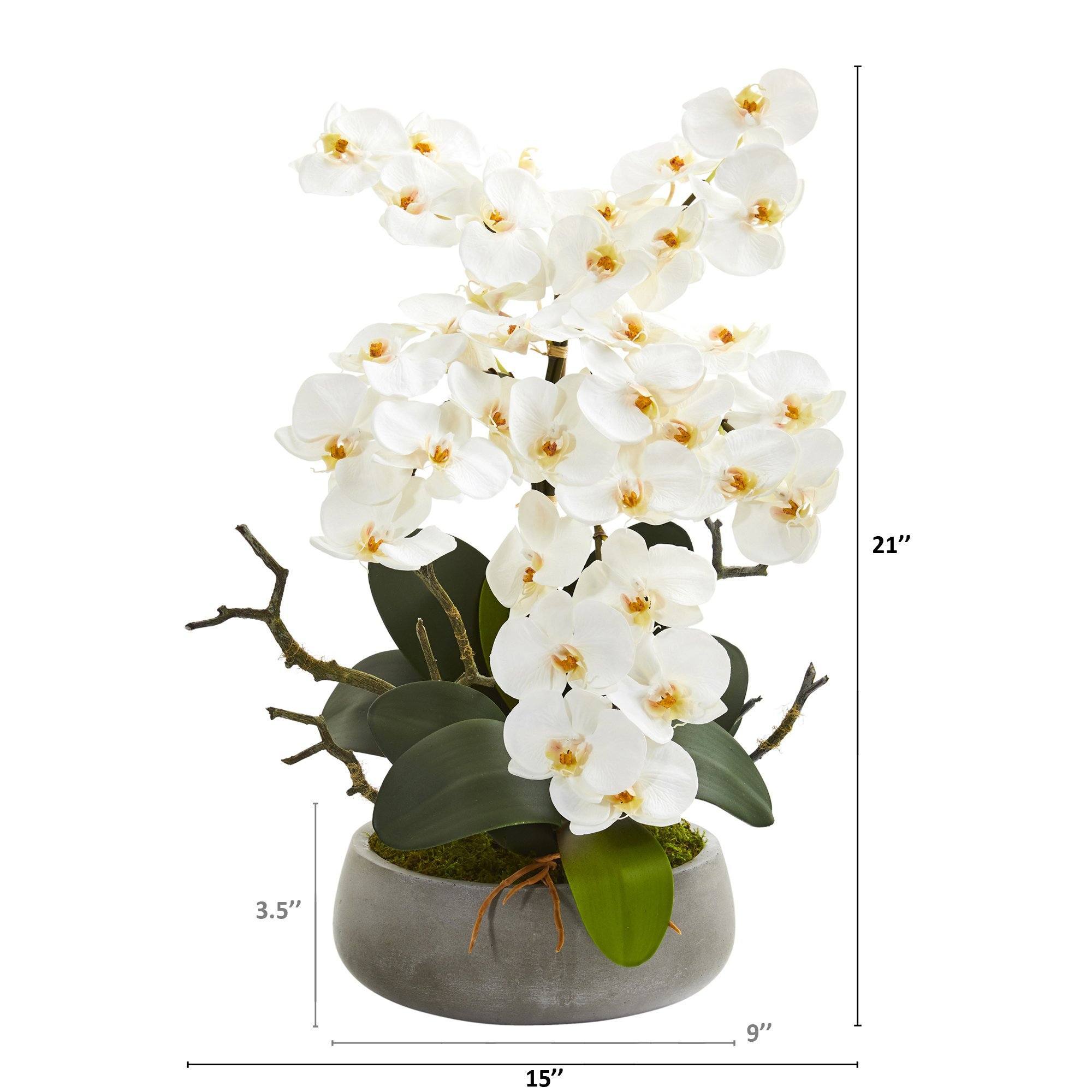 21” Phalaenopsis Orchid Artificial Arrangement in Gray Vase