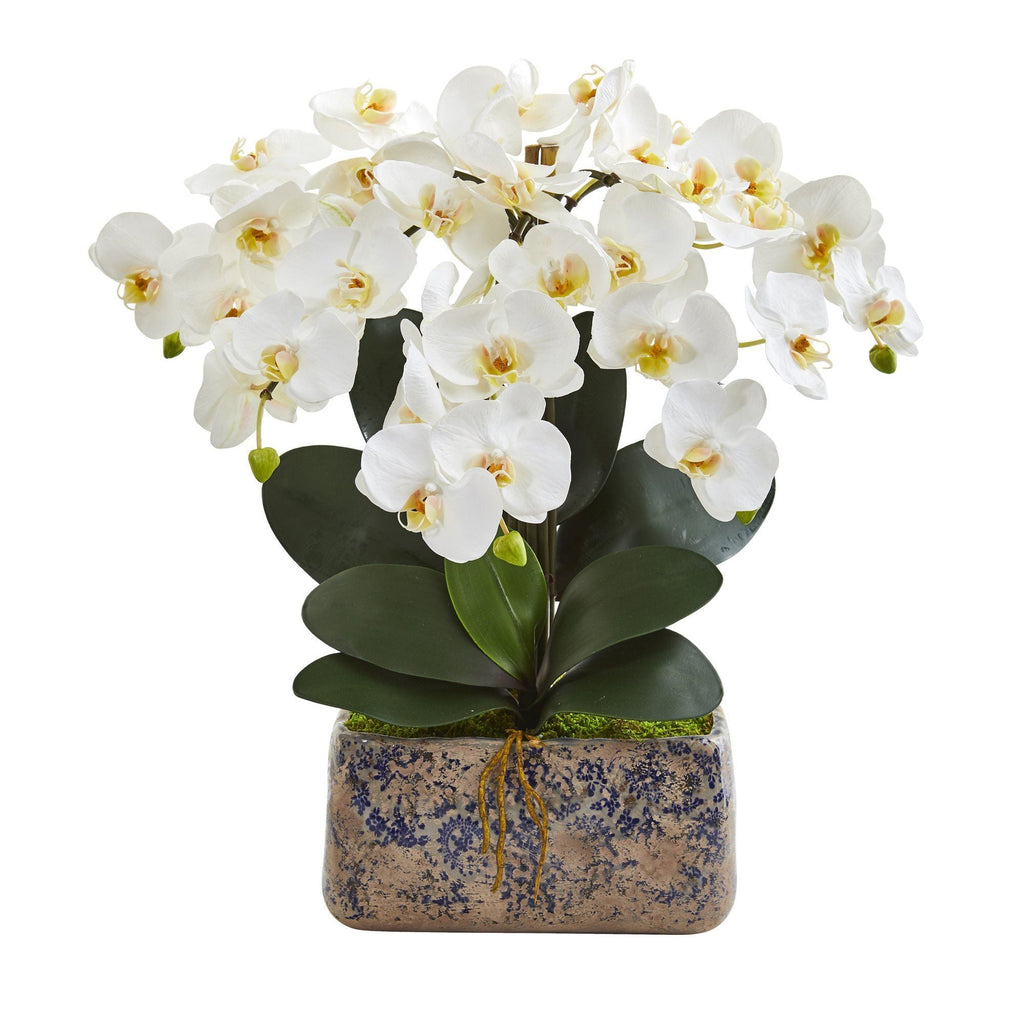 21” Phalaenopsis Orchid Artificial Arrangement in Vintage Vase