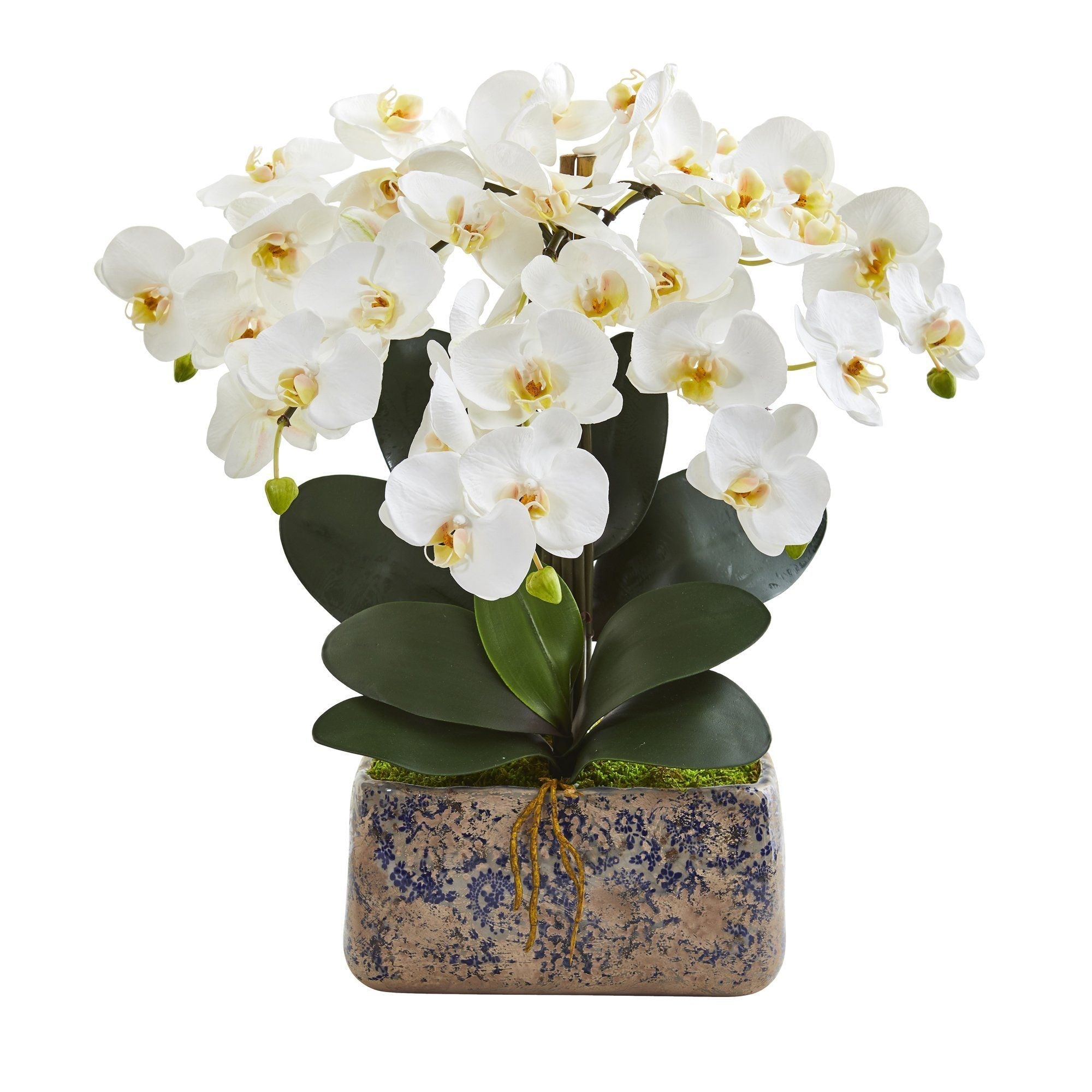 21” Phalaenopsis Orchid Artificial Arrangement in Vintage Vase