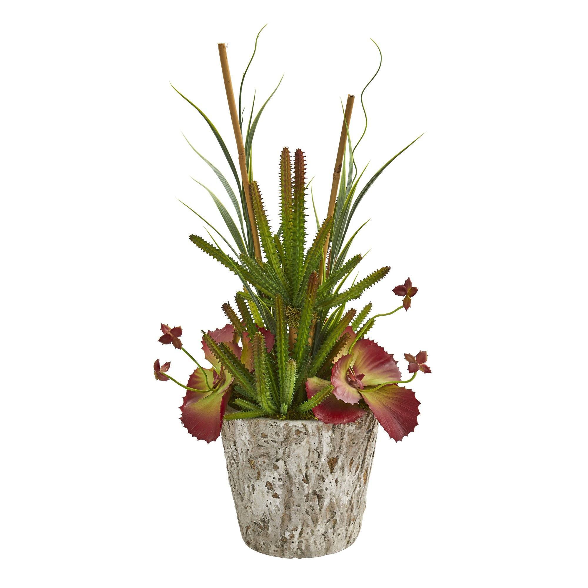 21” Succulent and Grass Artificial Plant in Weathered Oak Planter