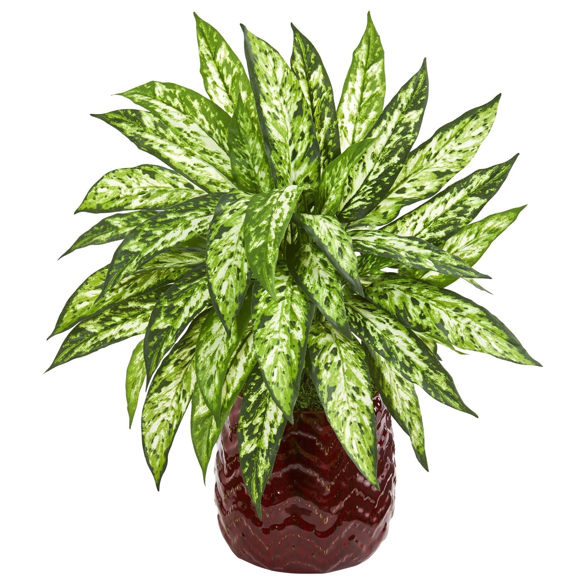 22” Aglonema Artificial Plant in Red Designer Vase