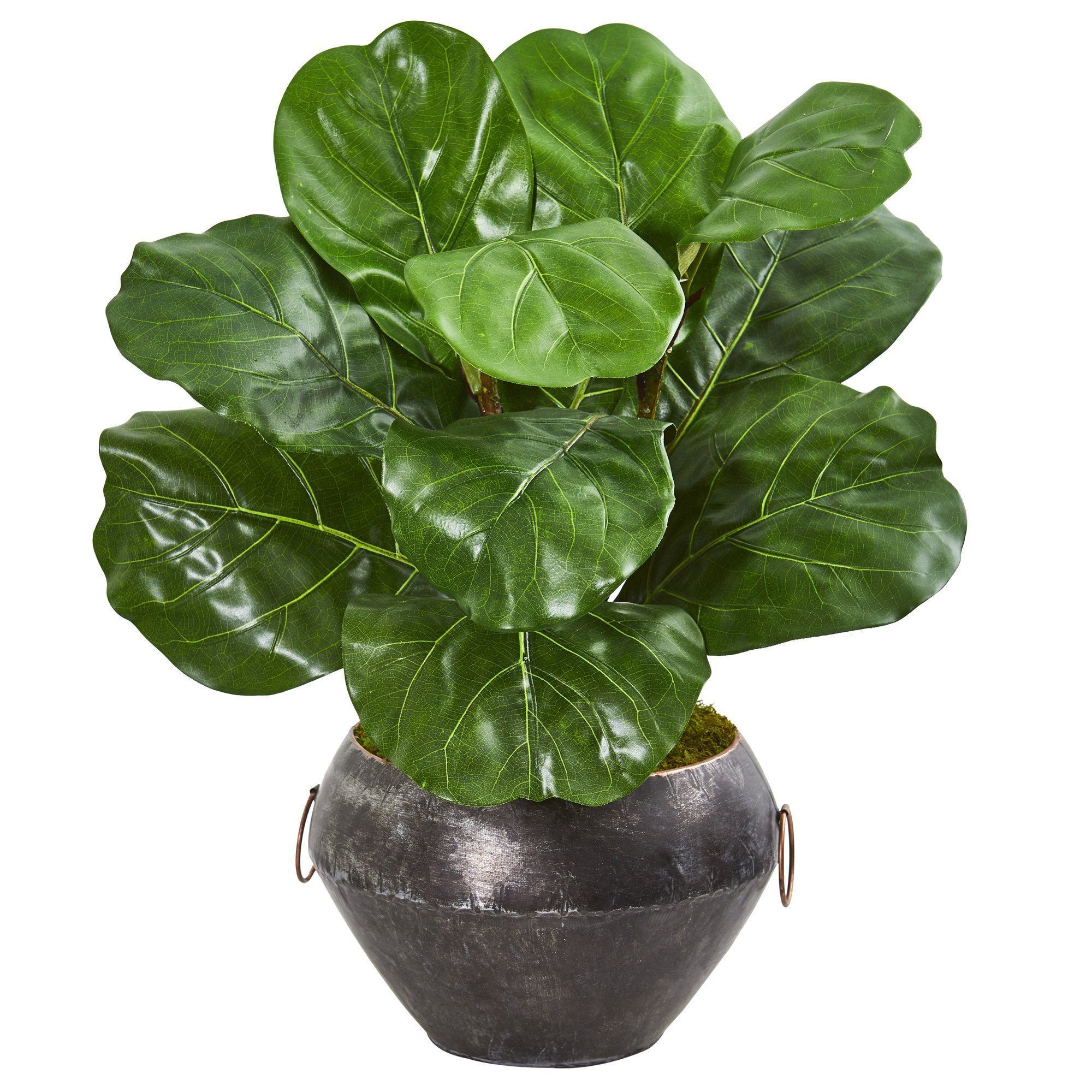 22” Fiddle Leaf Artificial Plant in Decorative Planter
