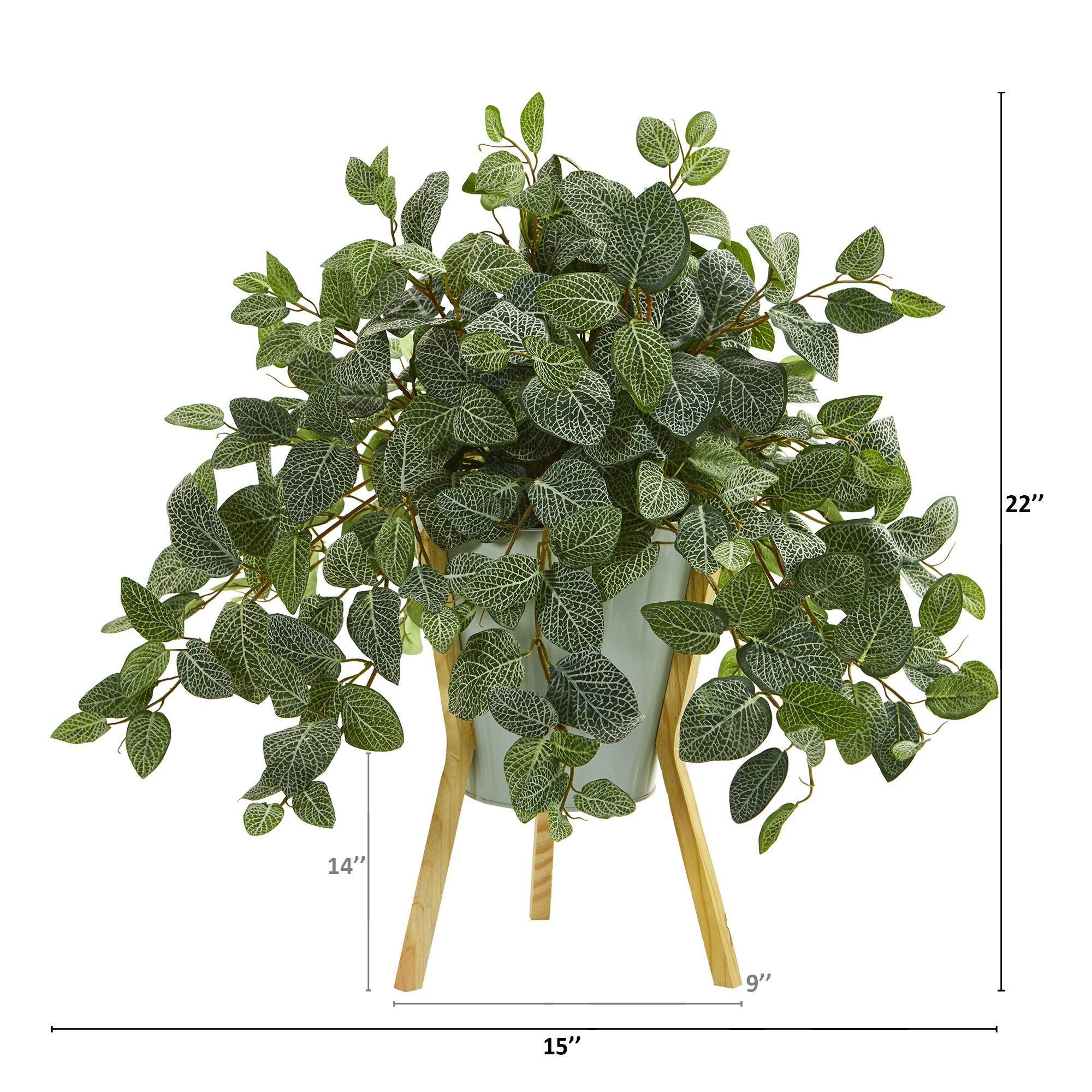 22” Fittonia Artificial Plant in Green Planter with Wooden Legs