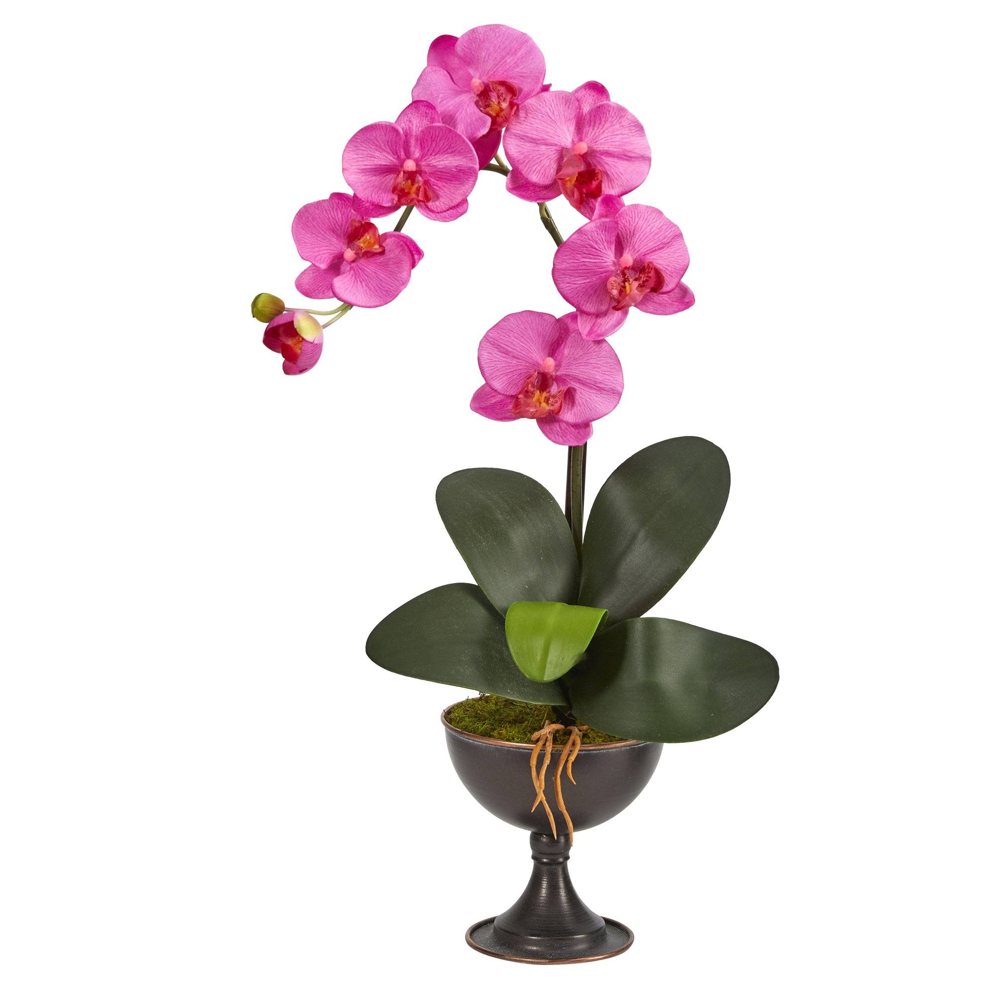 22” Phalaenopsis Orchid Artificial Arrangement in Metal Chalice