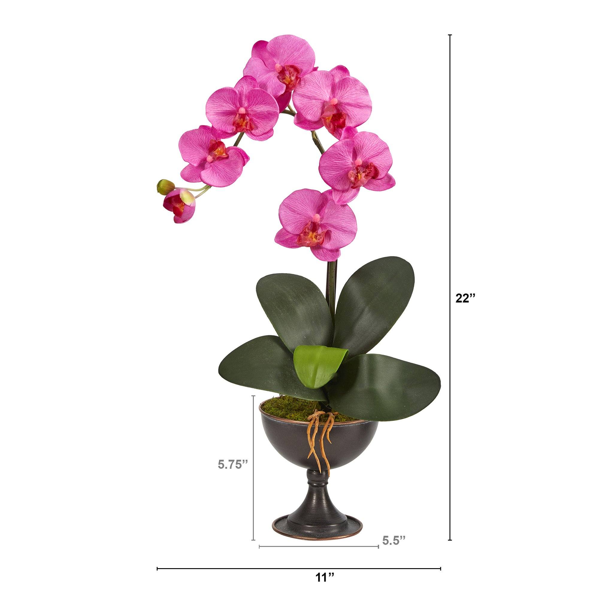 22” Phalaenopsis Orchid Artificial Arrangement in Metal Chalice