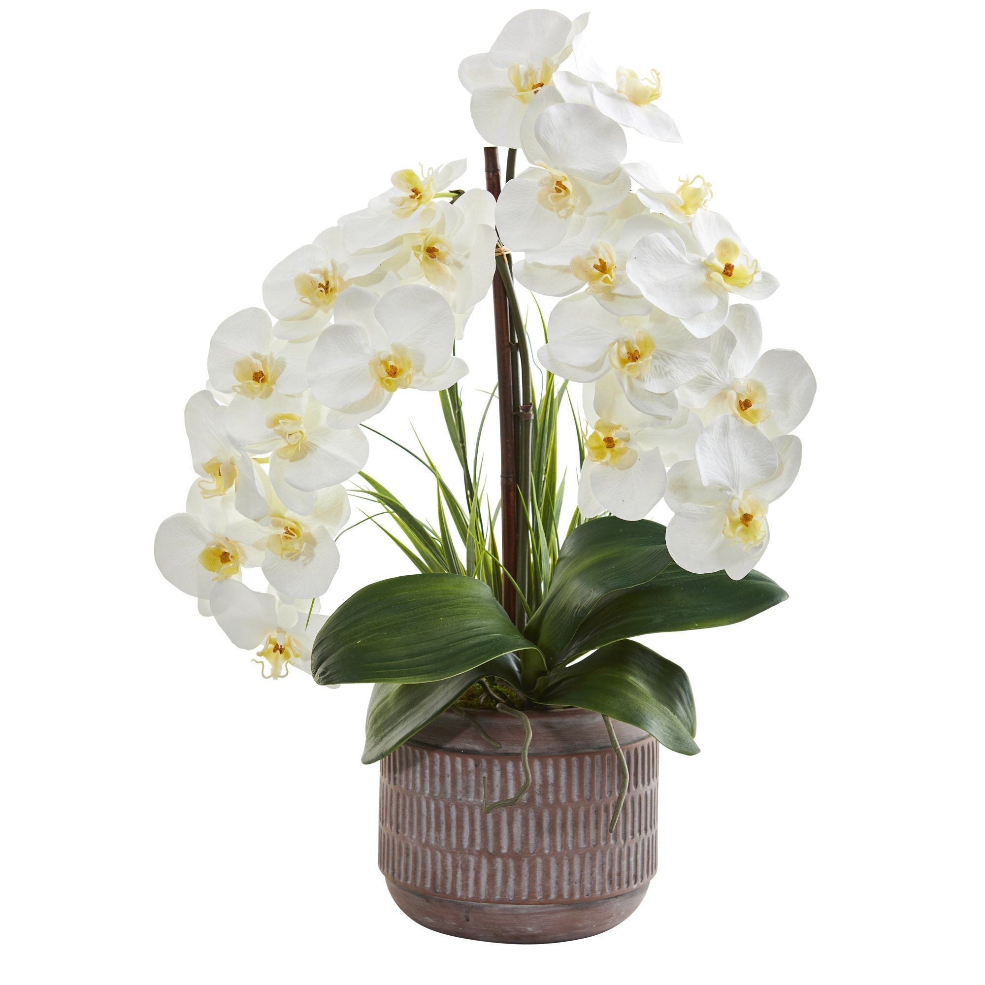 22” Phalaenopsis Orchid Artificial Arrangement in Stoneware Planter