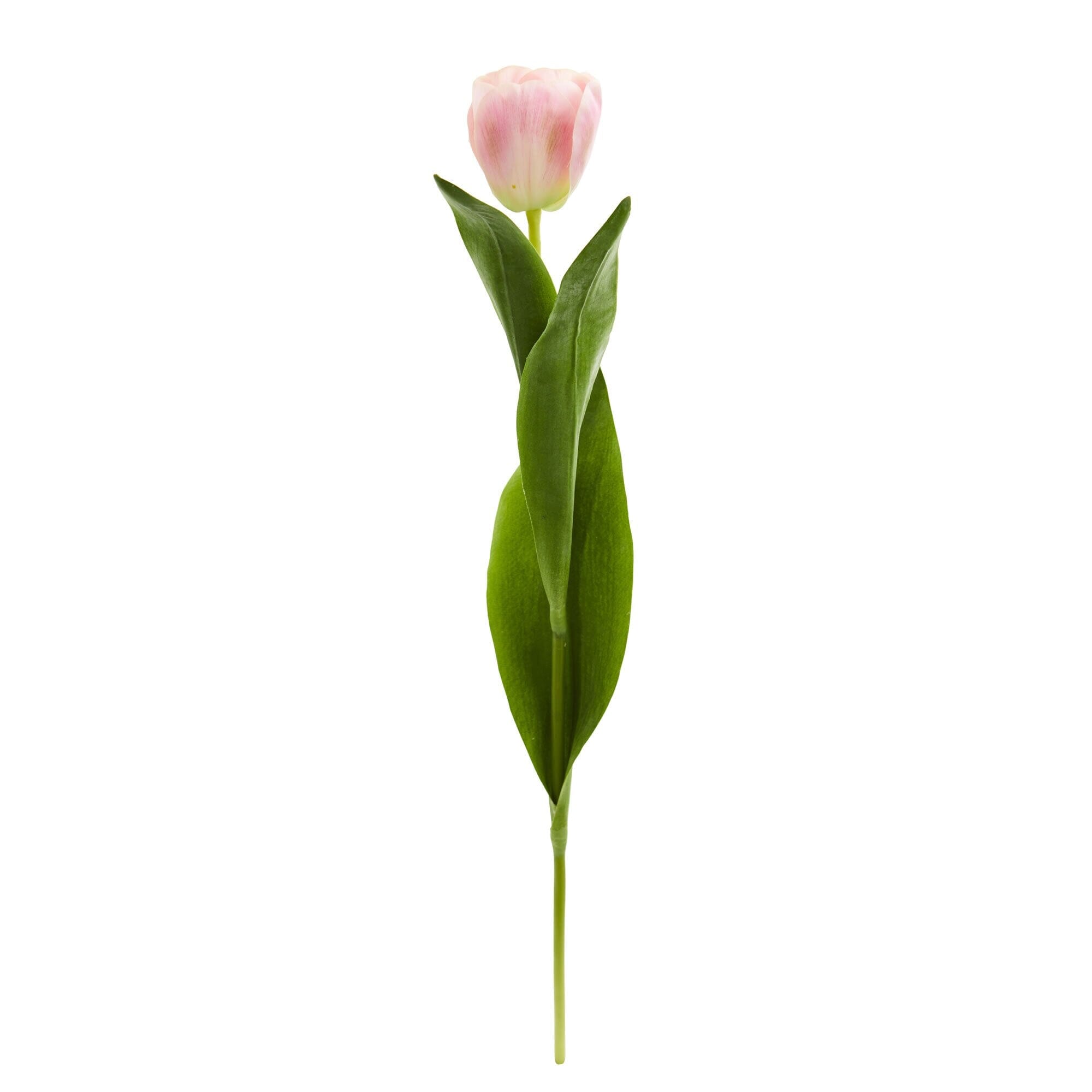 22” Tulip Artificial Flower (Set of 8)