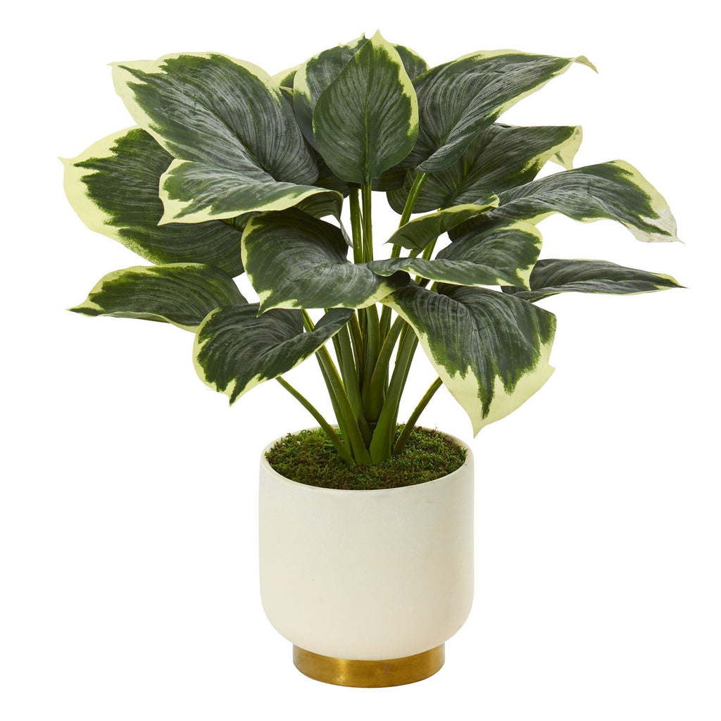 22” Variegated Hosta Artificial Plant in Cream Planter with Gold Base