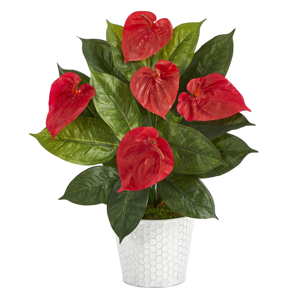 23” Anthurium Artificial Plant in Embossed White Planter