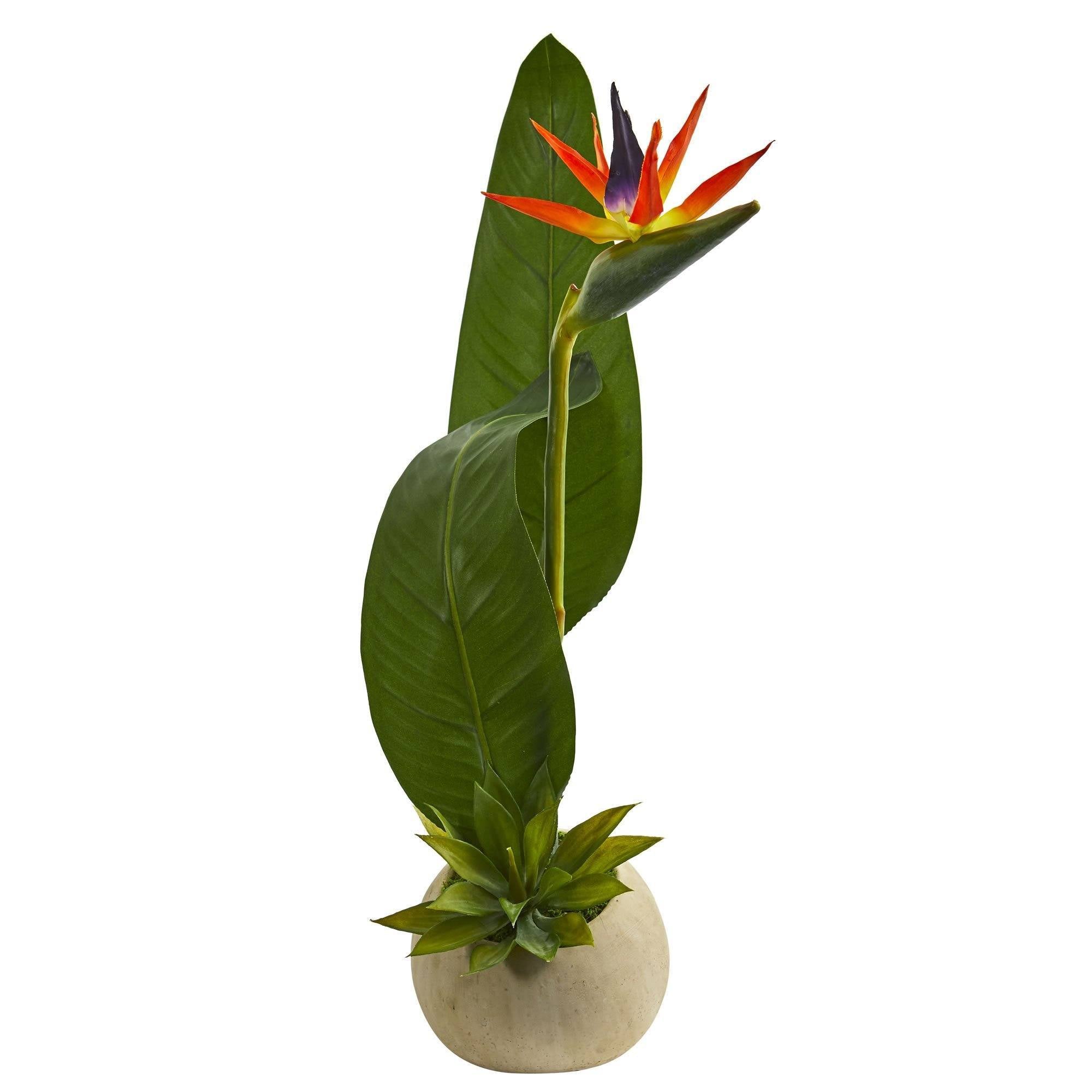 23” Bird of Paradise and Succulent Artificial Arrangement